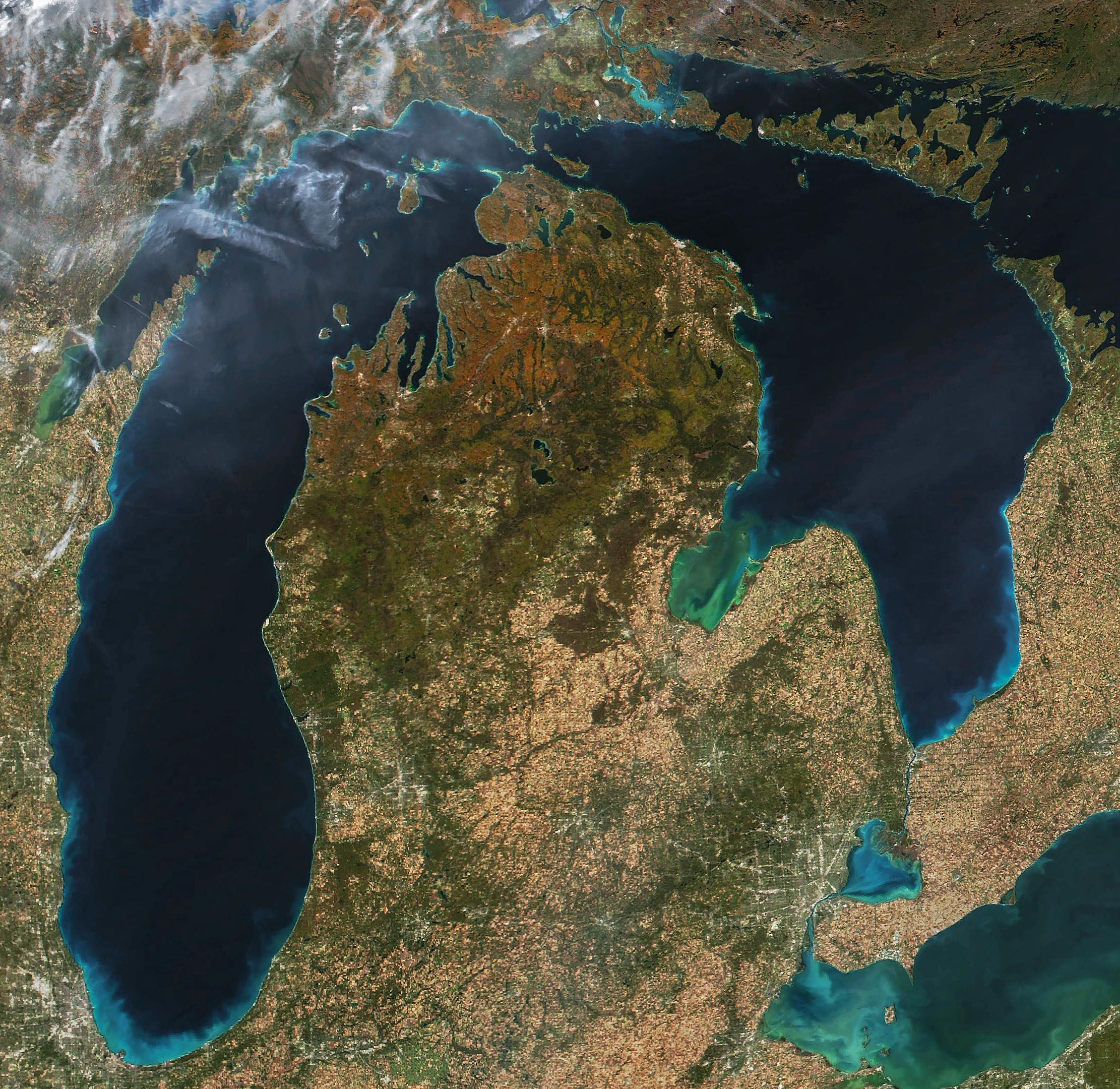 Michigan-Mitten-Majestic-Color.jpg