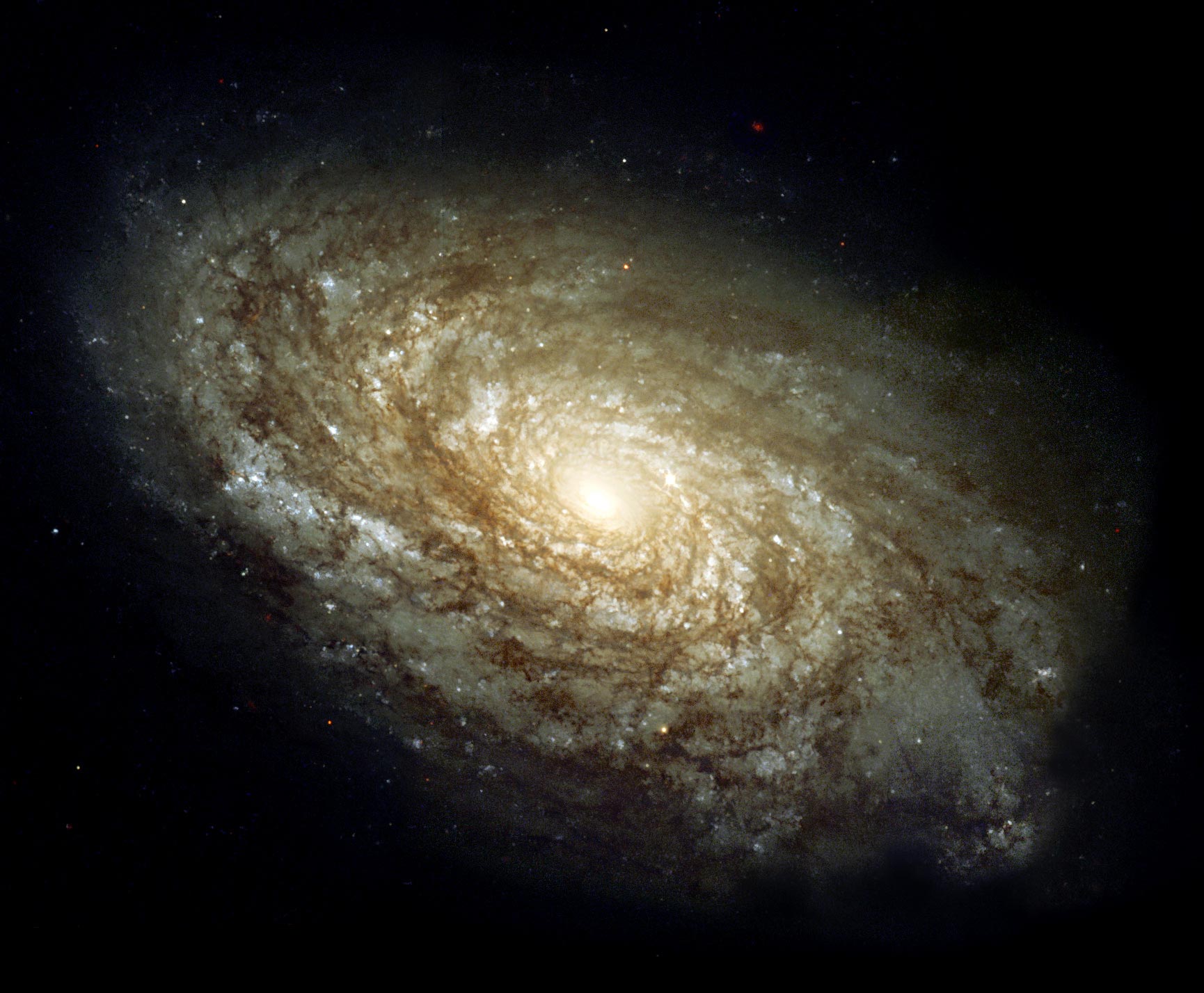 NGC-4414.jpg