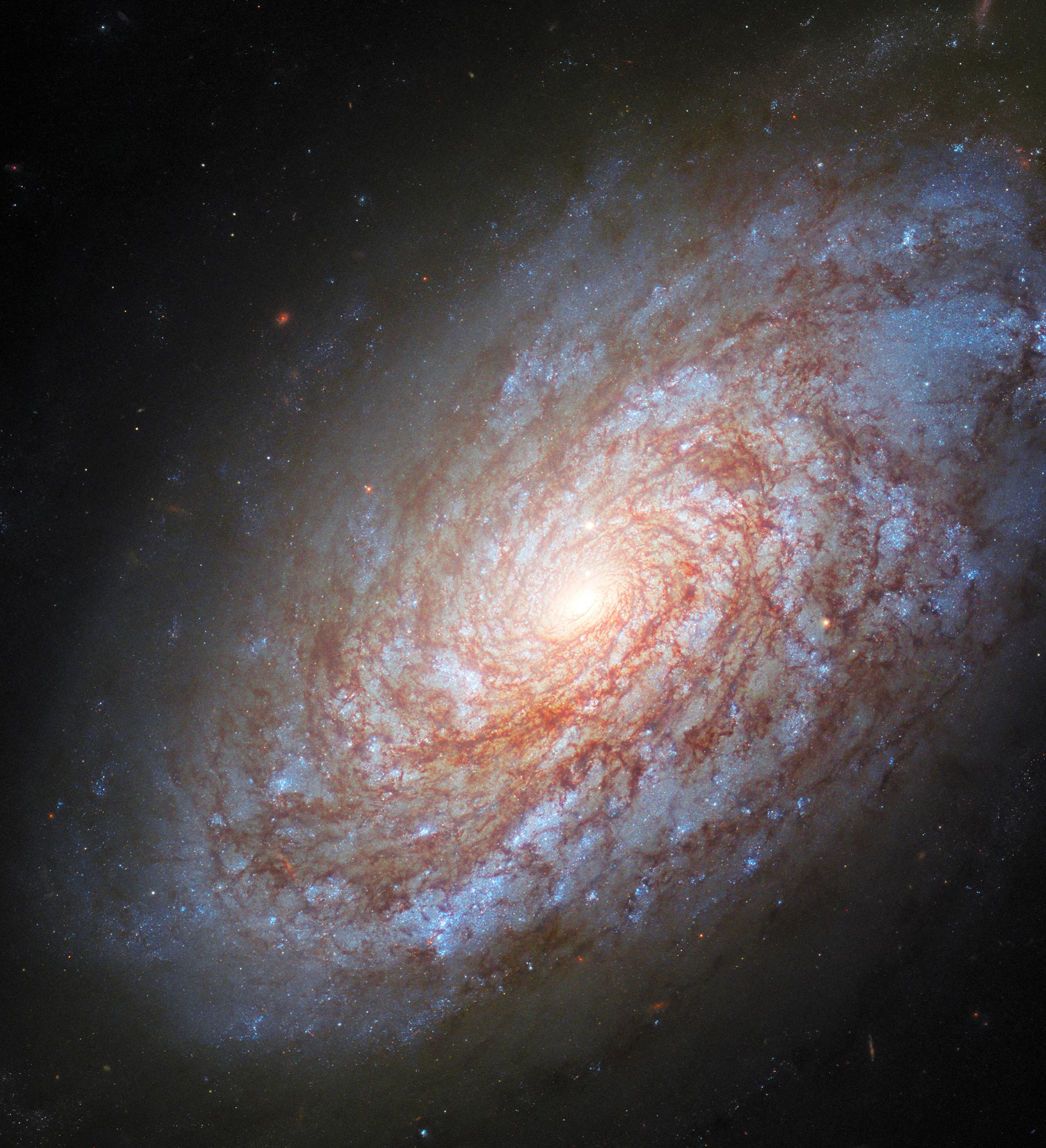 Spiral-Galaxy-NGC-4414.jpg