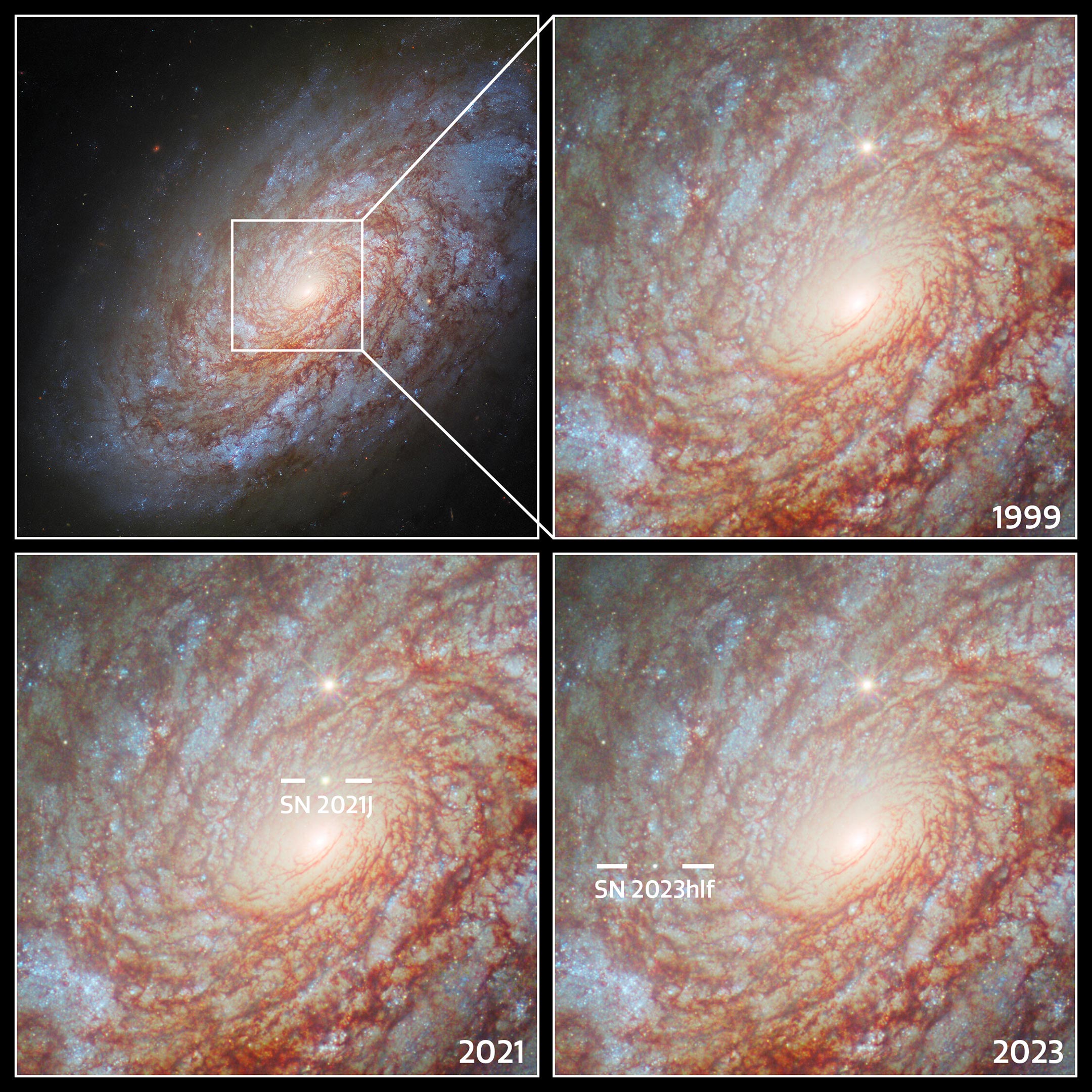 Supernovae-in-NGC-4414.jpg