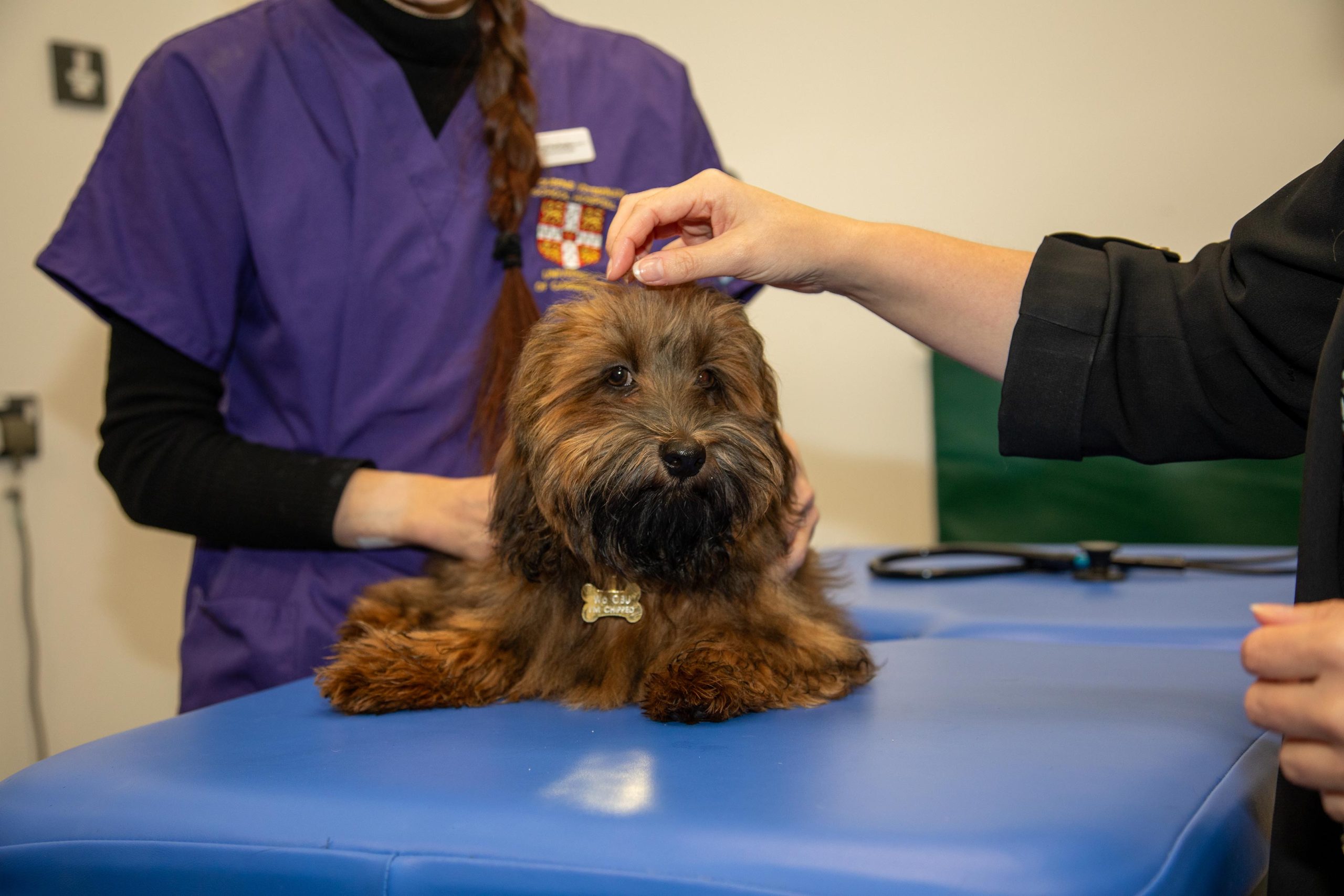 Huxley-Physical-Examination-scaled.jpg