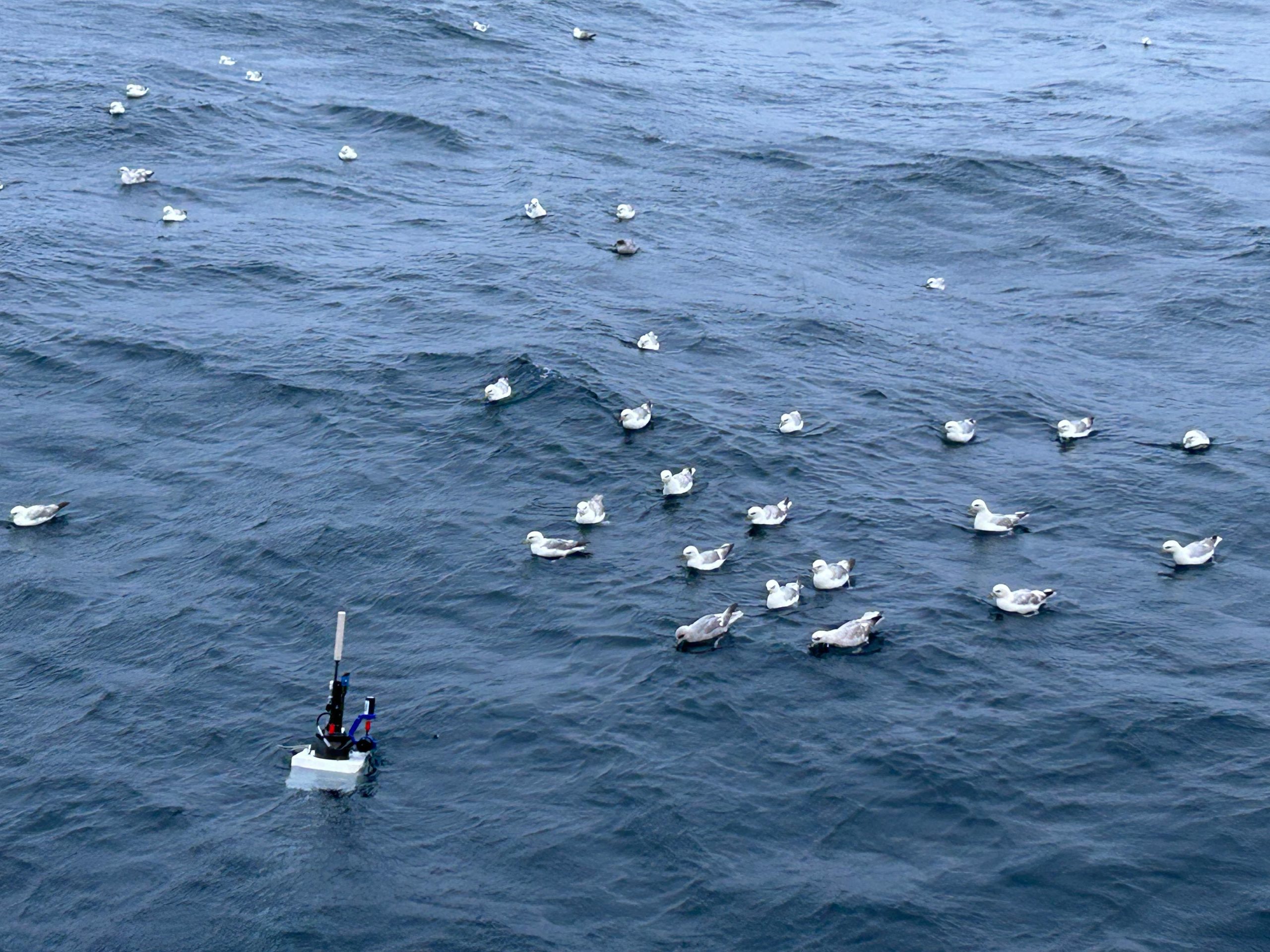 Deploying-BGC-Argo-Float-Labrador-Sea-scaled.jpg