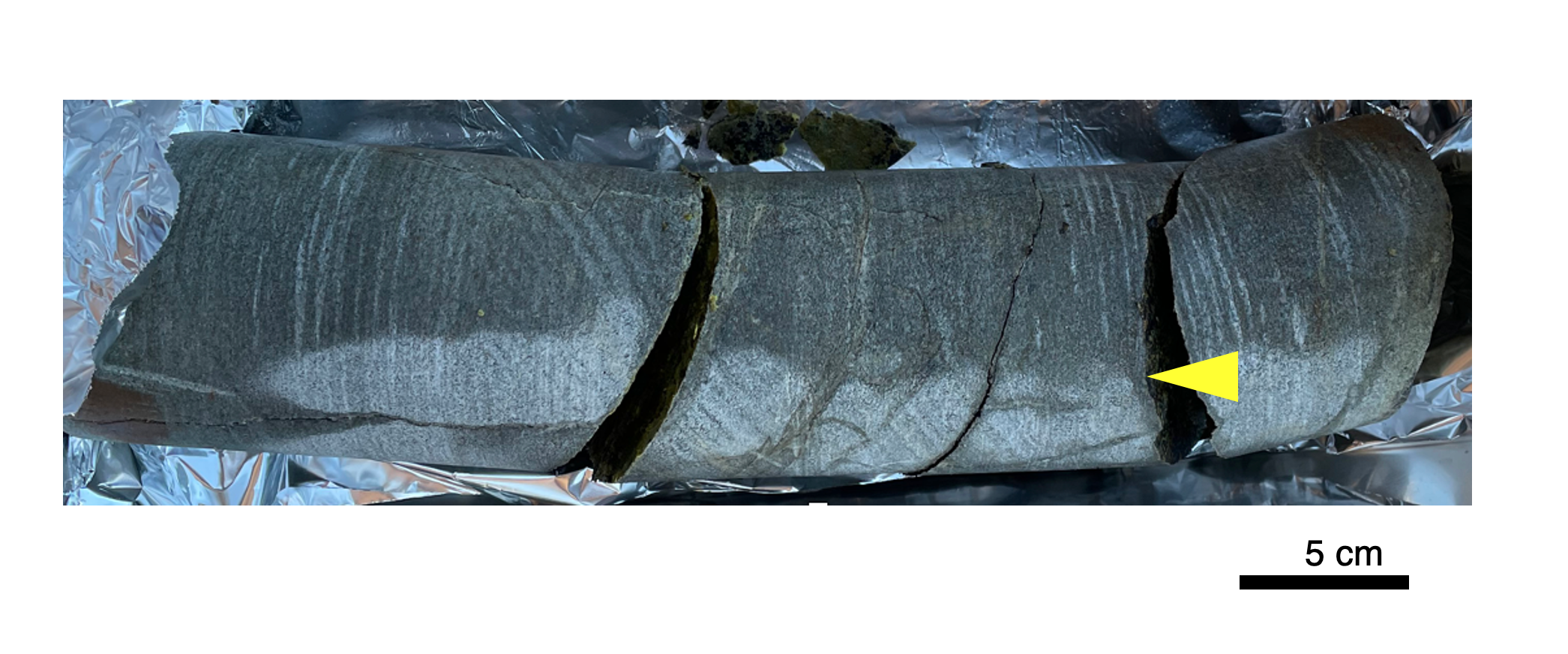 ee2a338d-06e7-415b-ab39-e740ca019cb0.png