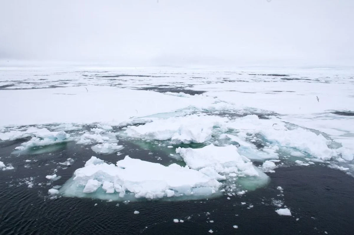 Ice-in-the-Arctic.jpg