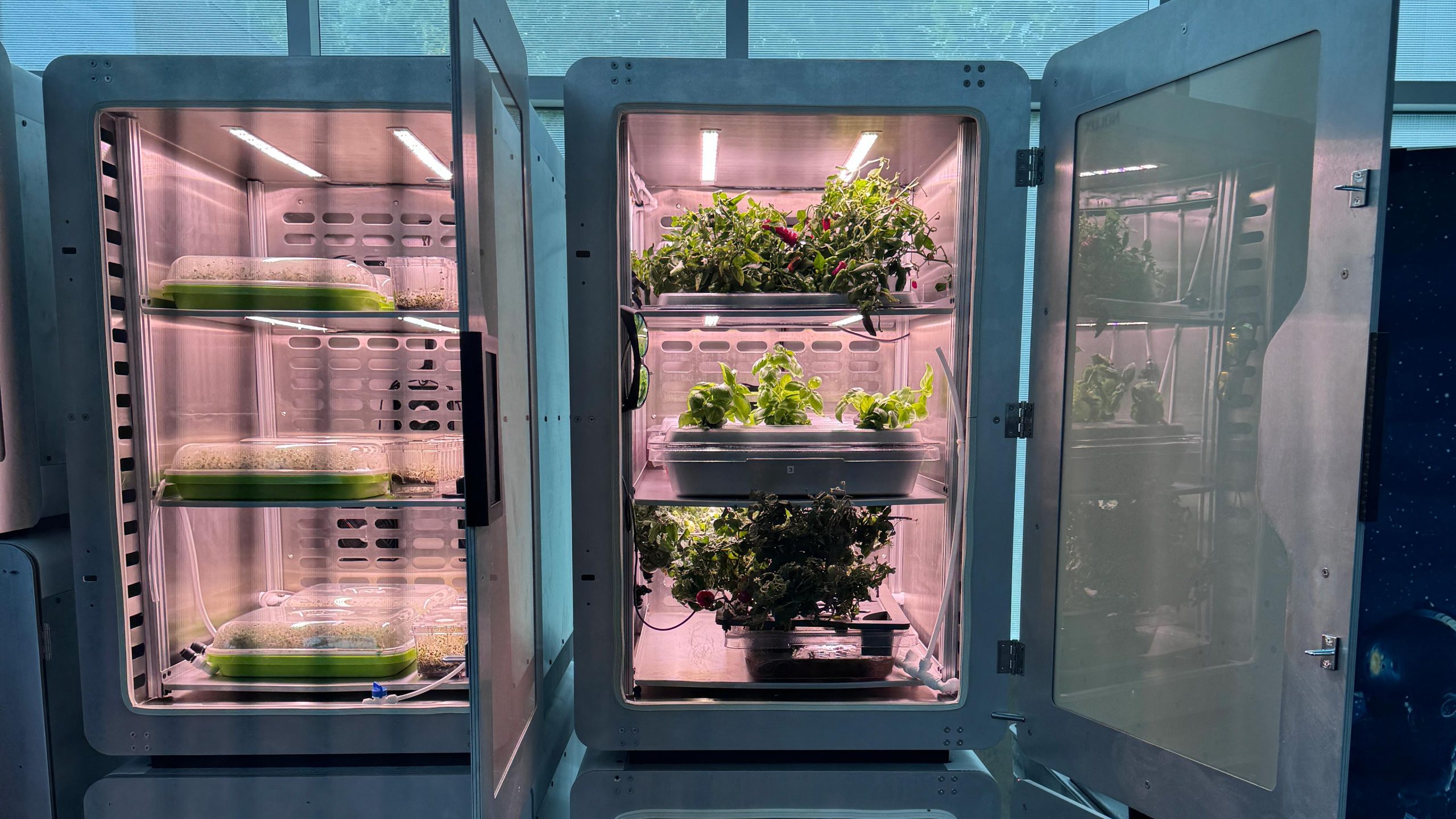 Electro-Agriculture-Prototype-Crop-scaled.jpg