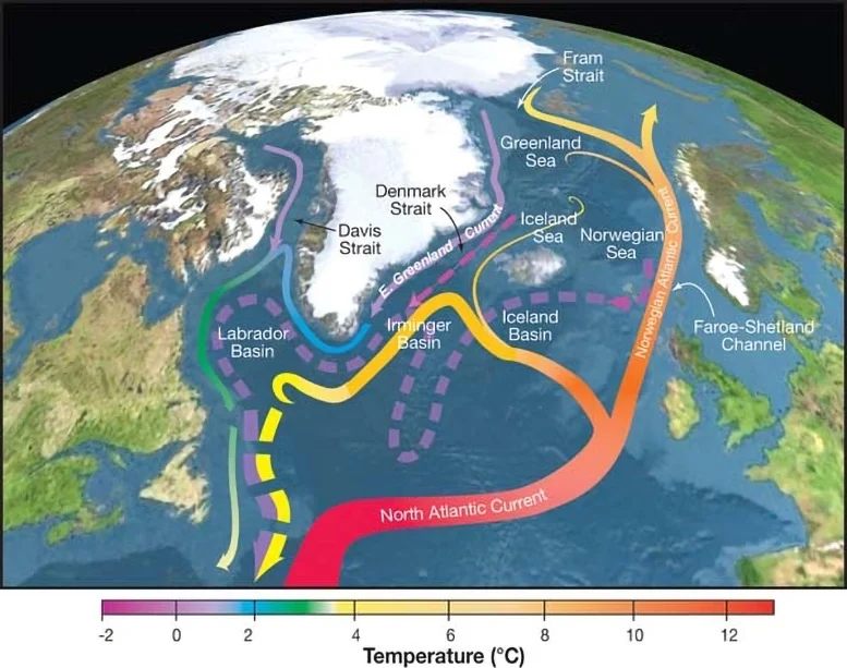 The-Direction-That-the-AMOC-Carries-Warm-Water-Graphic.jpg