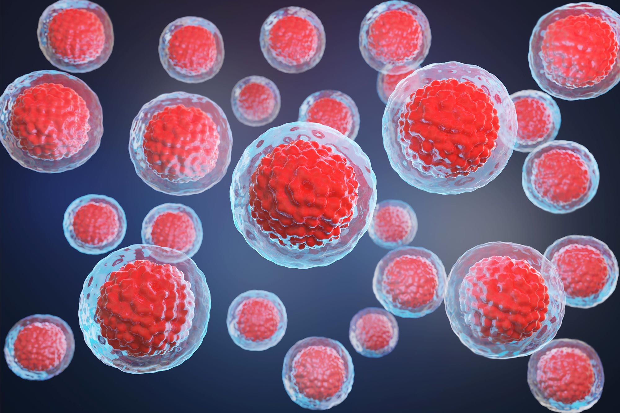 Blood-Stem-Cells.jpg