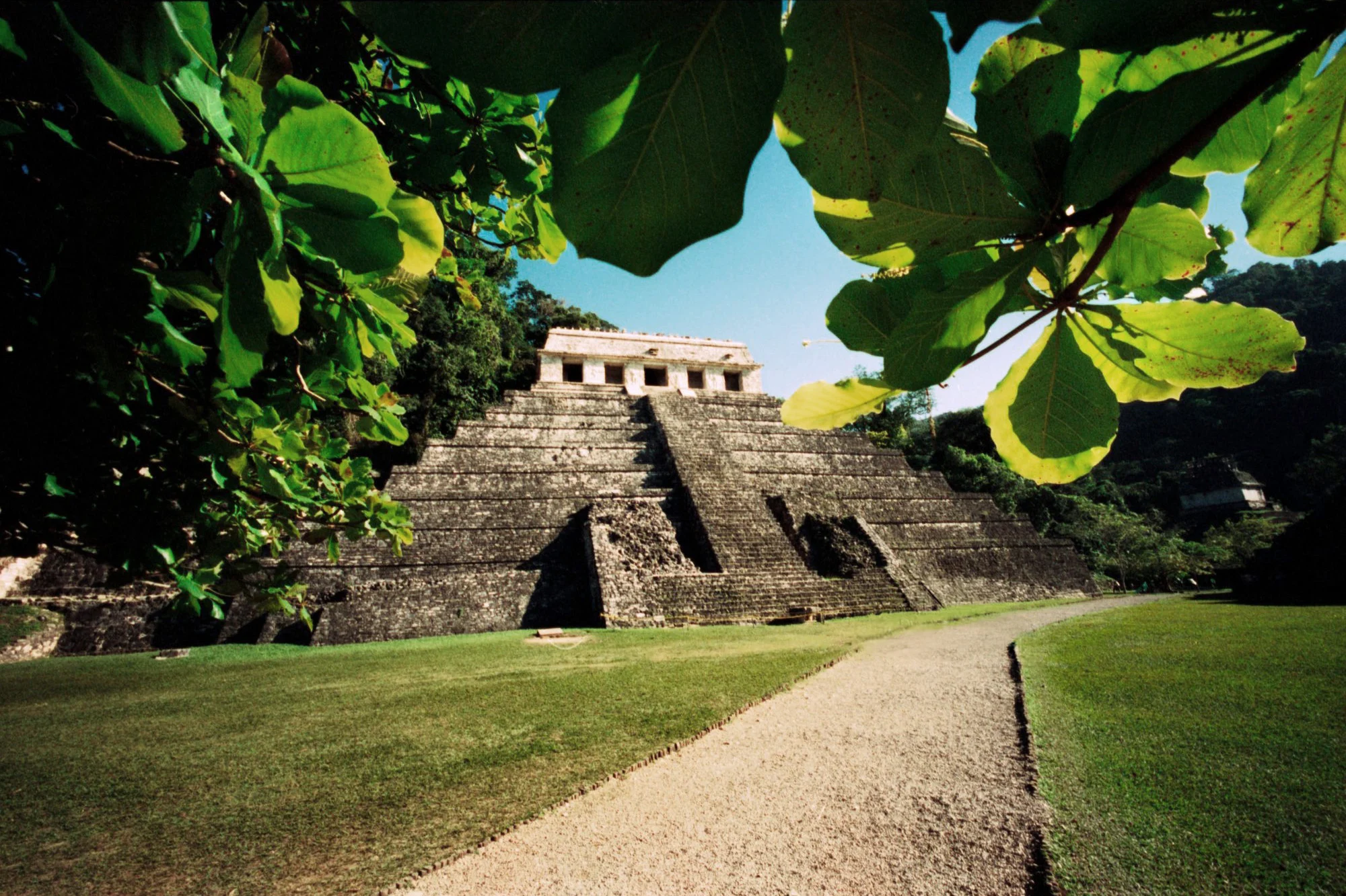 Hidden-Mayan-Temple.jpg
