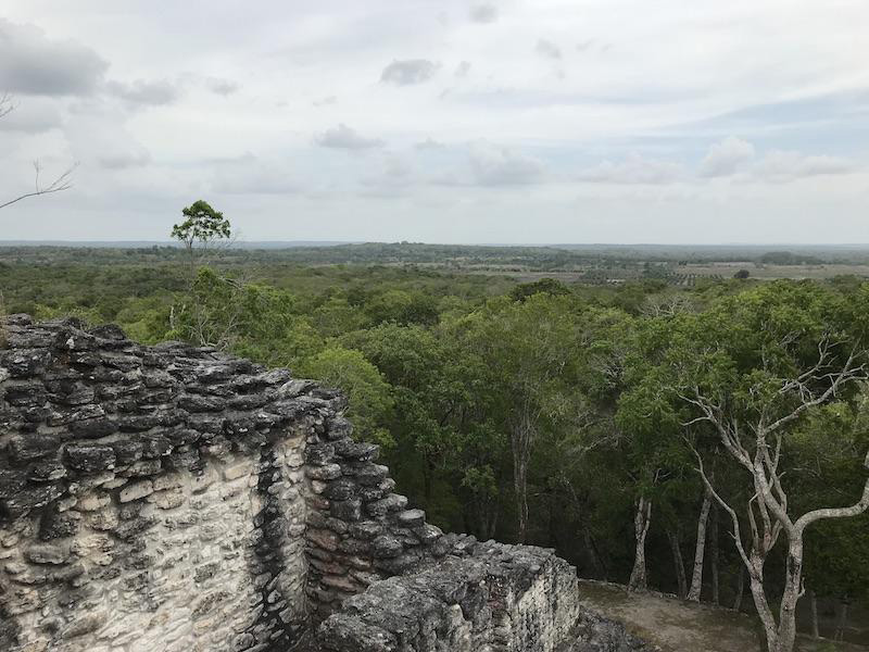 Maya-Infrastructure.jpg