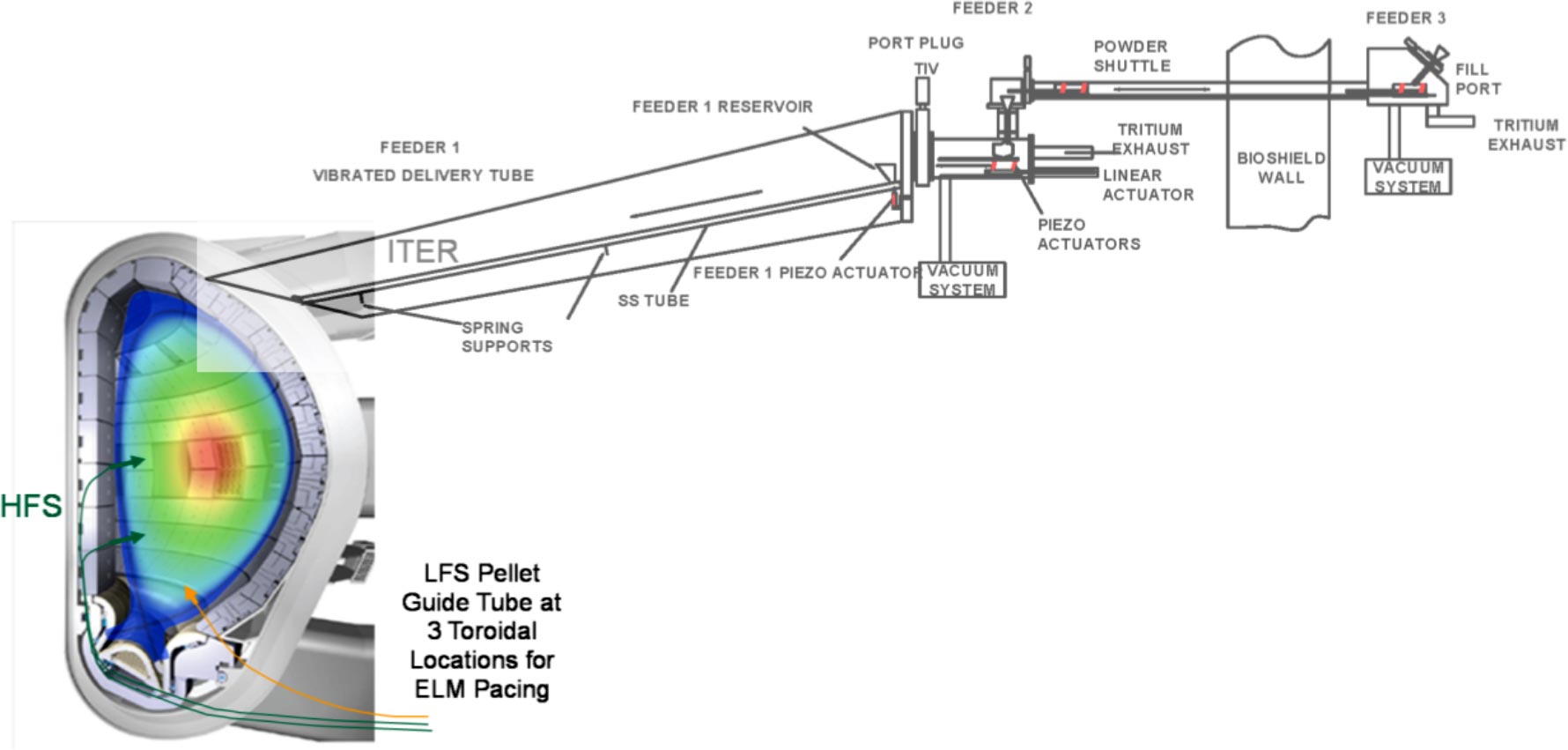 ITER-Cross-Section.jpg