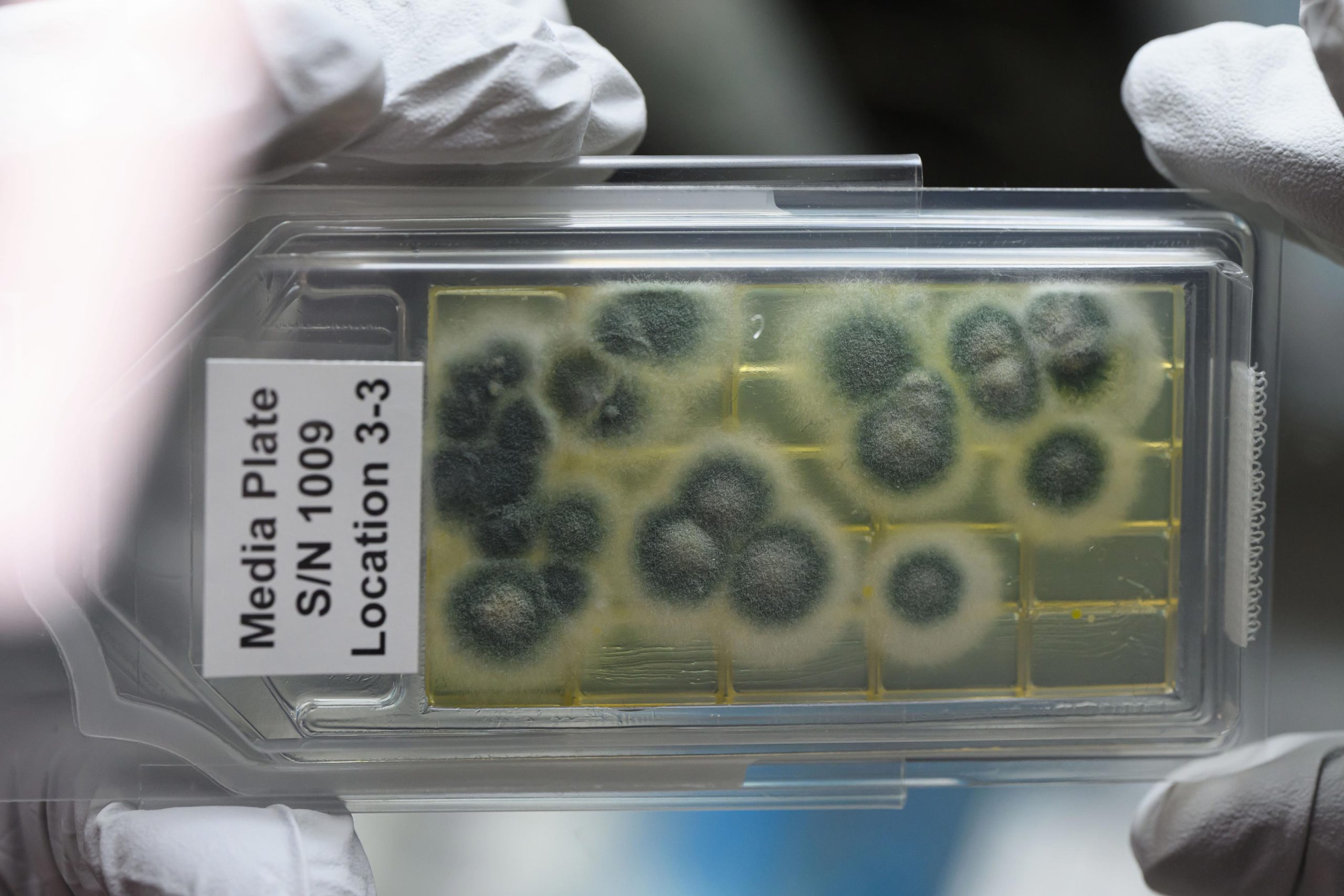 Genomic-Enumeration-of-Antibiotic-Resistance-in-Space-GEARS-Sample-Media-Plate-scaled.jpg