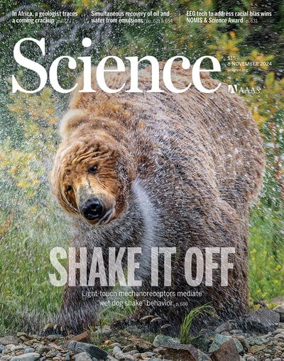science.2024.386.issue-6722.largecover.jpg