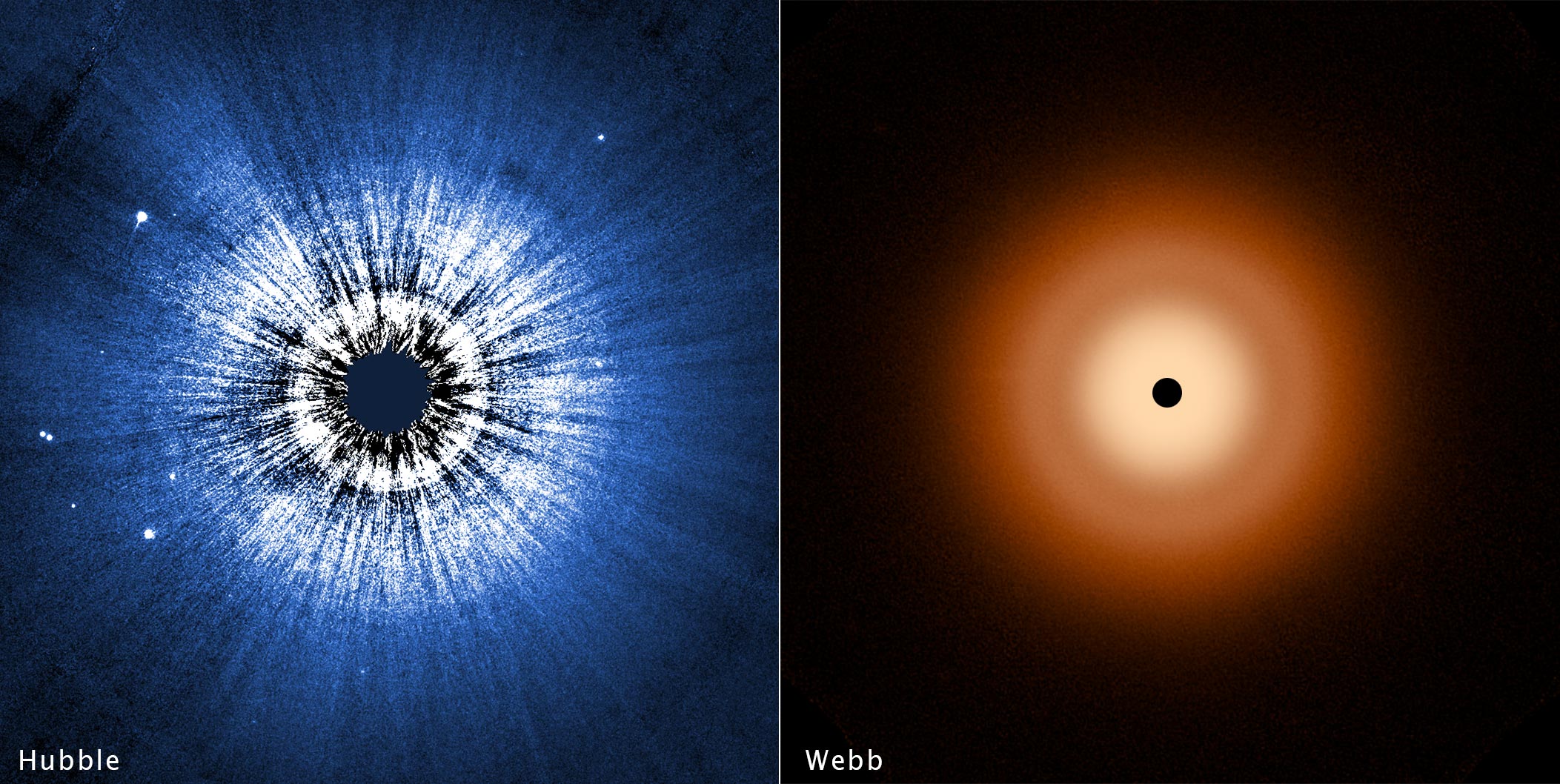 Hubble-and-Webb-Observations-of-Vega-Circumstellar-Disk.jpg