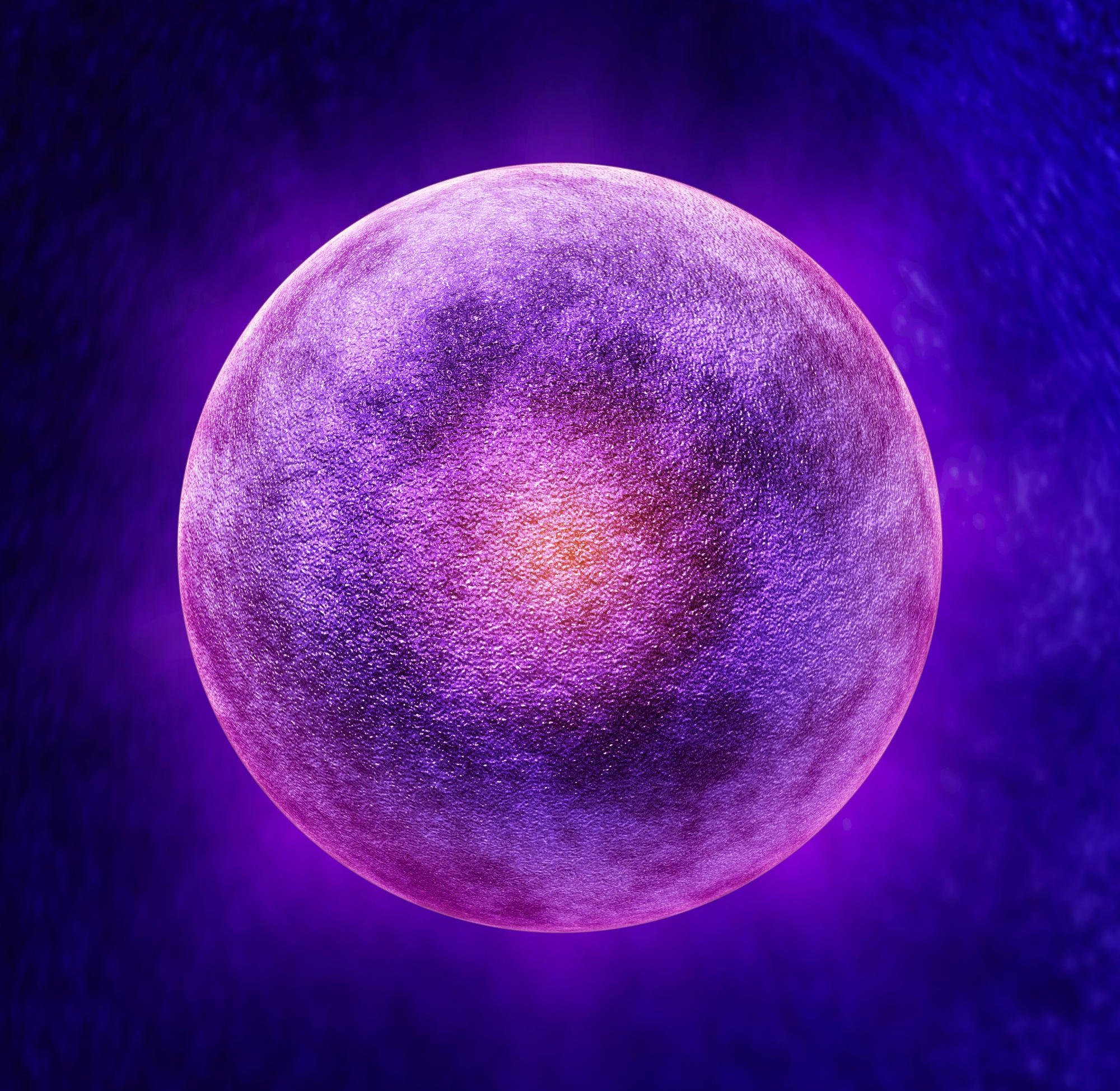 Human-Egg-Cell.jpg