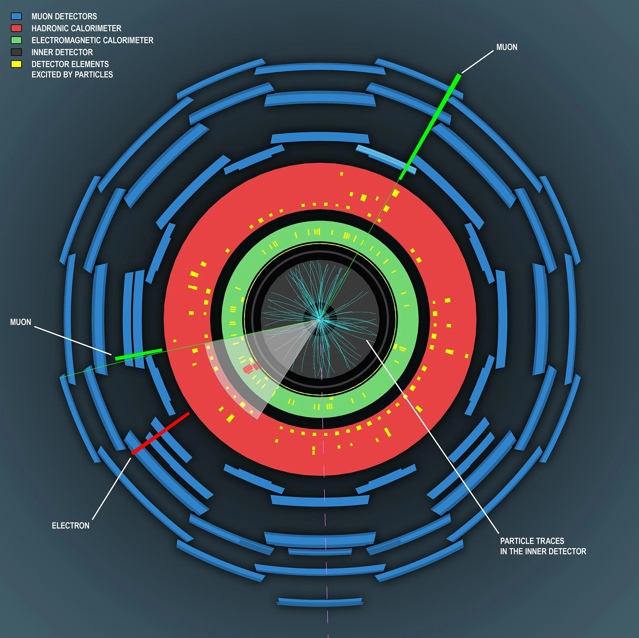 Single-Higgs-Boson-Event-ATLAS-Detector.jpg
