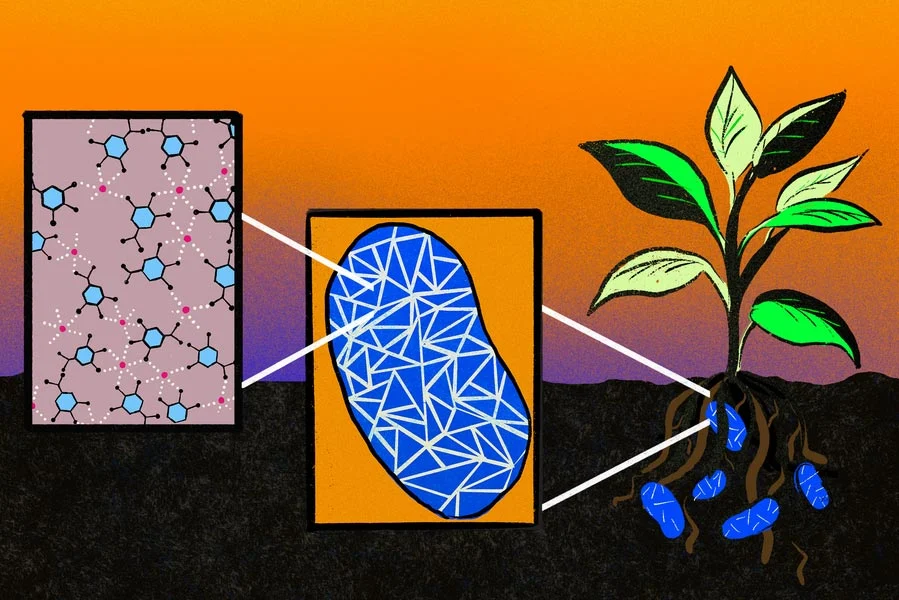 MIT-Microbial-Fertilizer.jpg