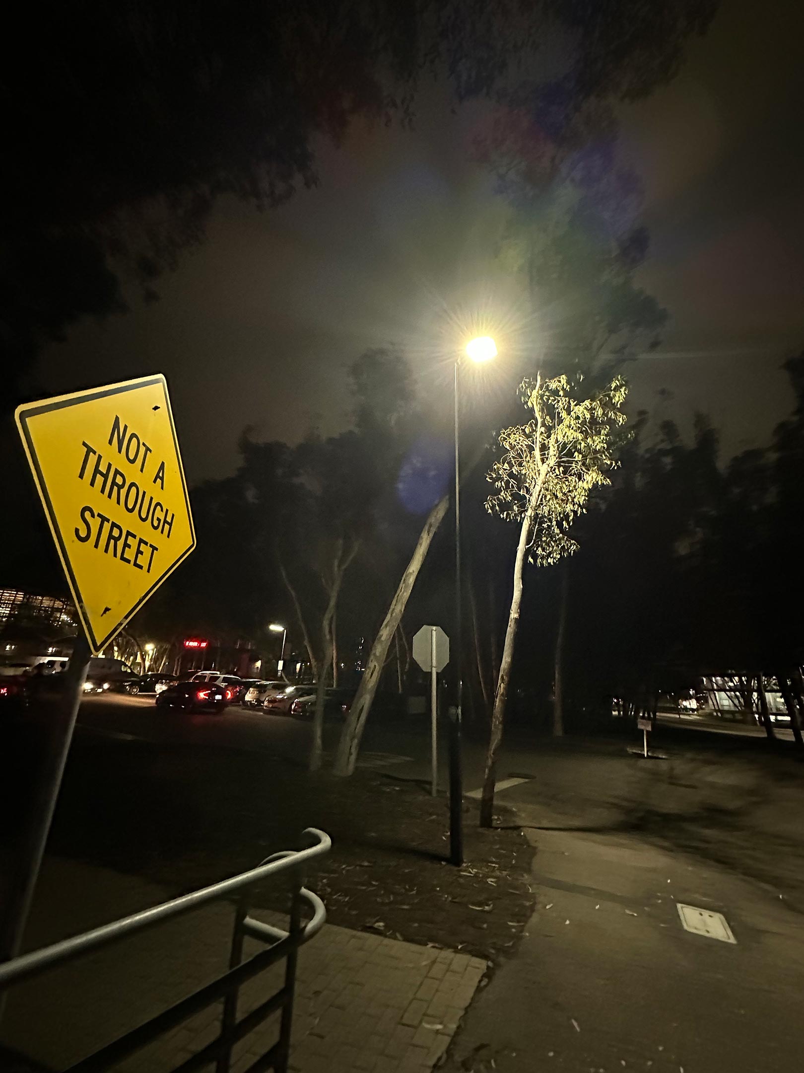 Aritifical-Light-at-Night.jpg