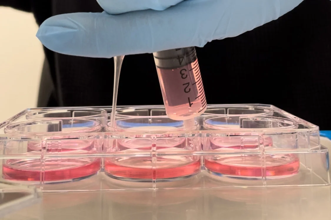 Non-Neural-Cells-in-a-Lab.jpg