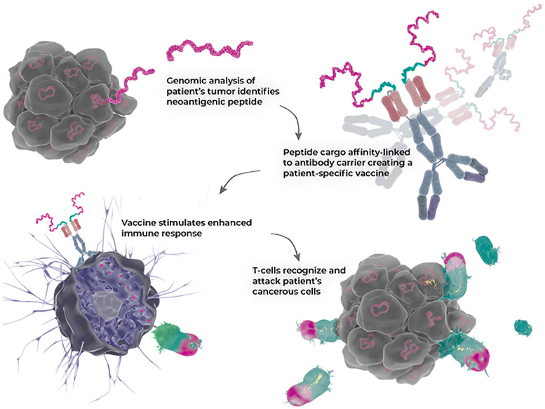 Illustration-of-New-3-in-1-Antibody.jpg