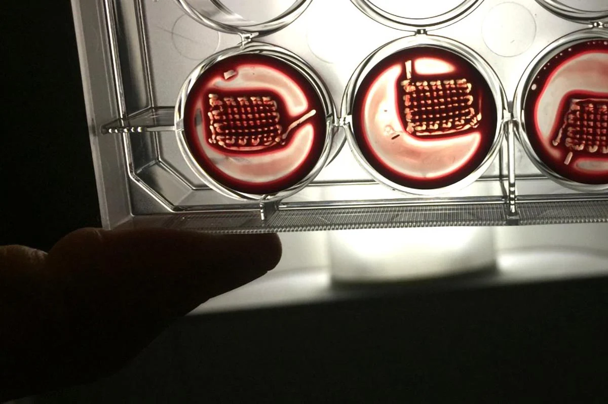3D-Printed-Blood-Constructs.jpg