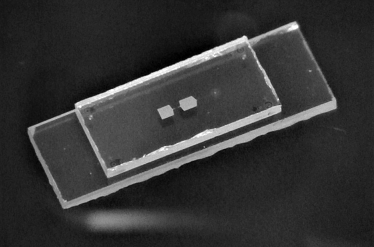 _20241114_on_mechanicalqubit_secondary.jpg
