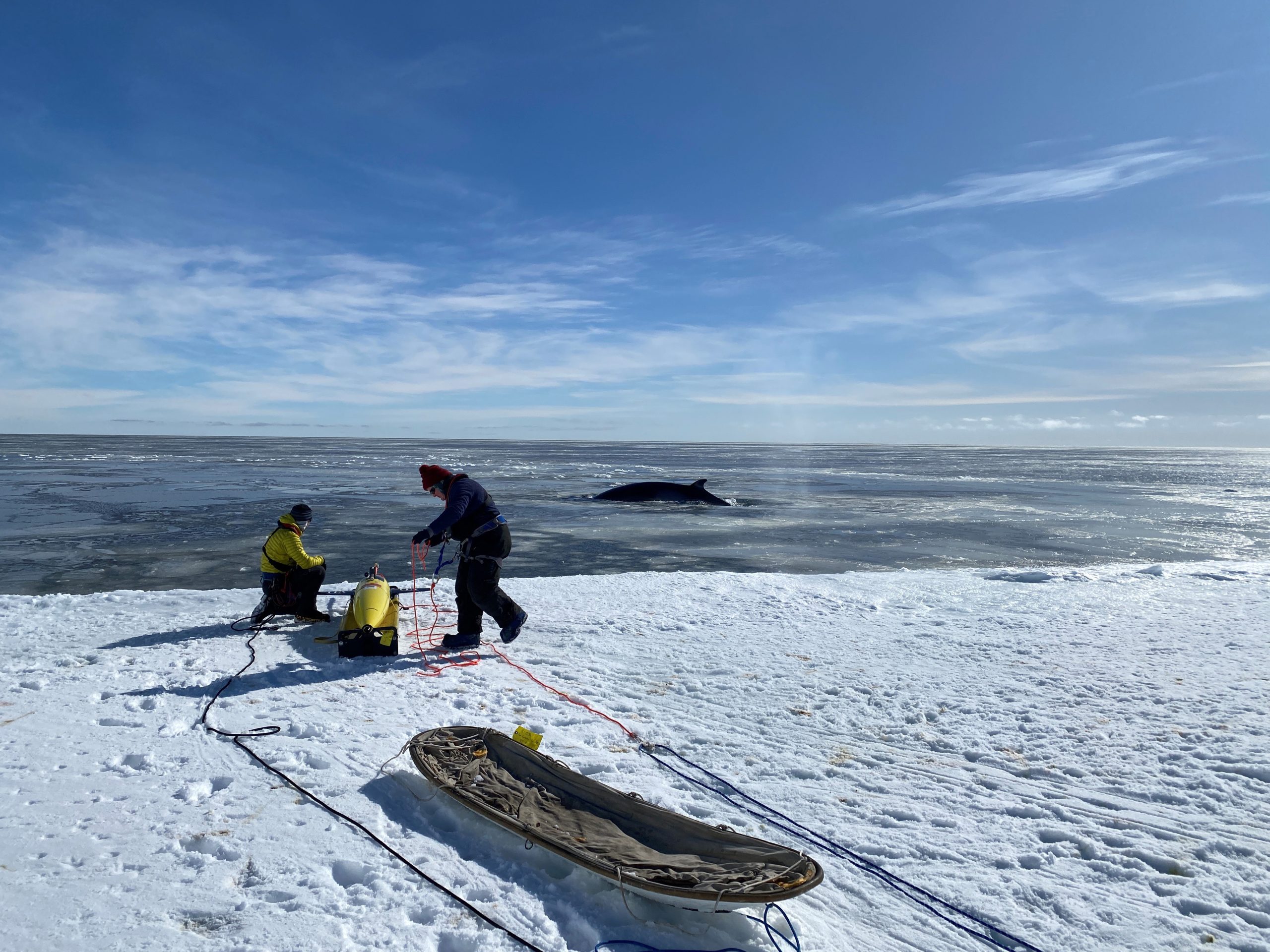 Seaglider-Marlin-Deployment-scaled.jpg