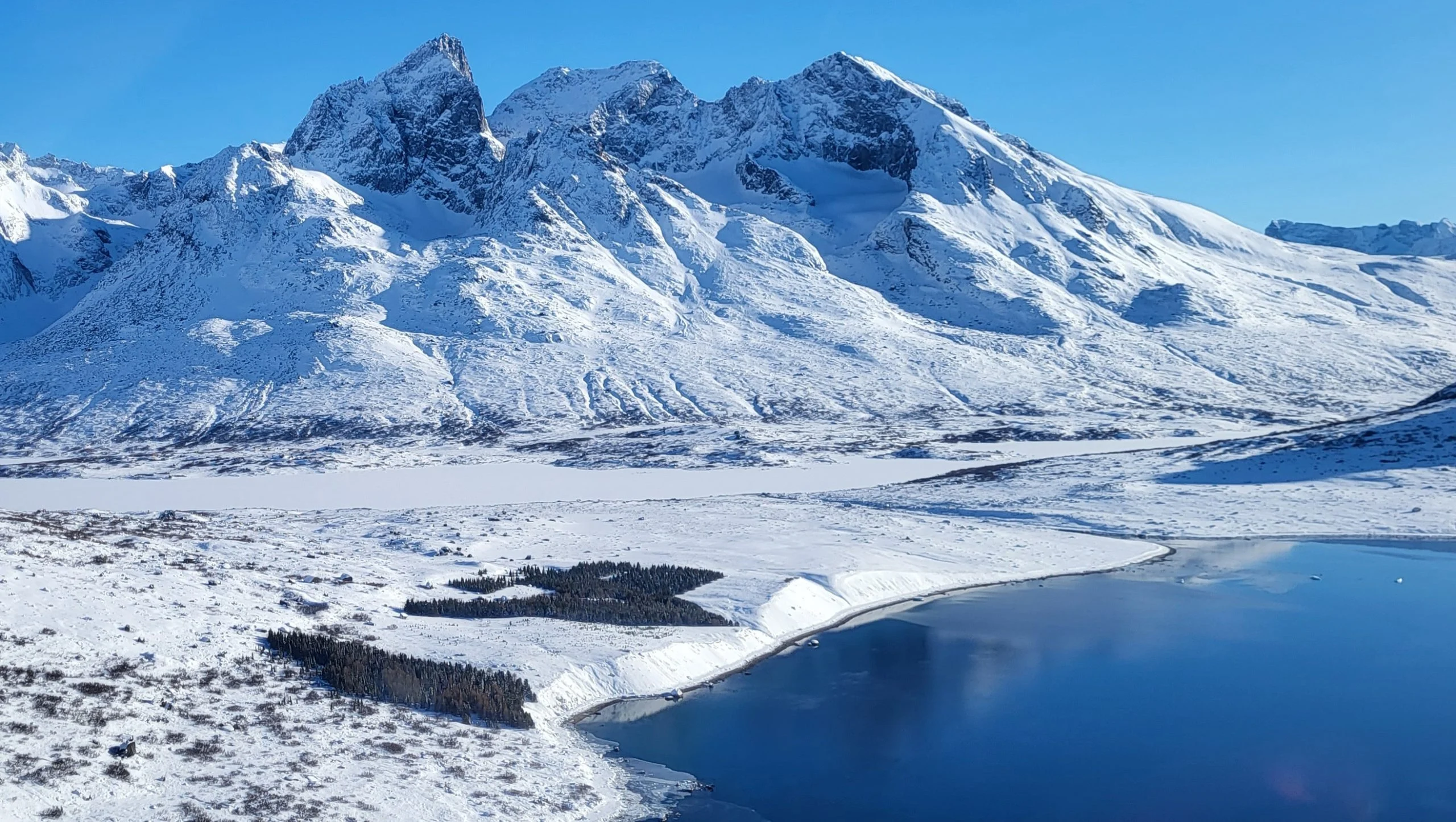 Plantation-in-South-Greenland-scaled.jpg