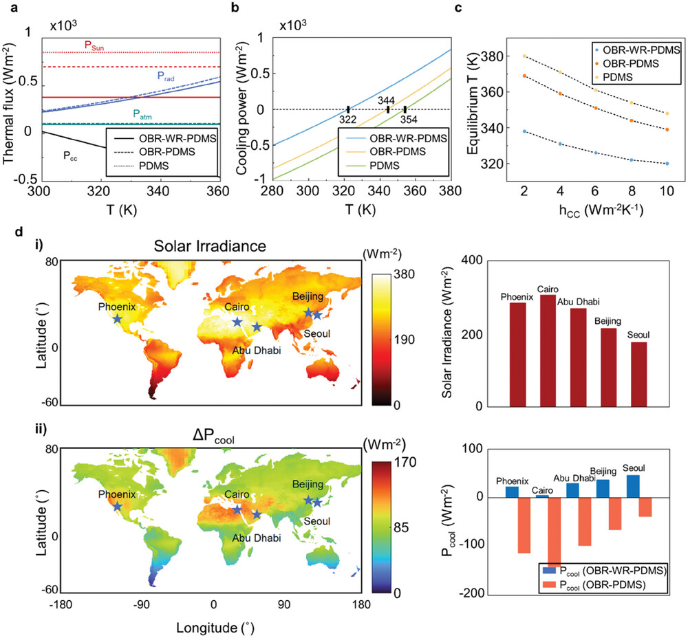 adfm202410613-fig-0004-m.jpg