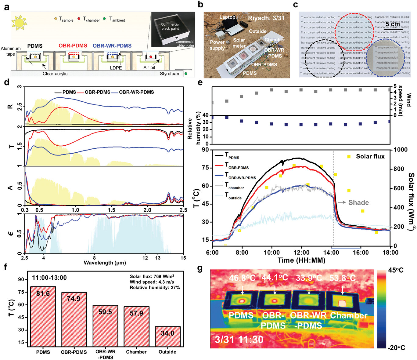 adfm202410613-fig-0005-m.jpg