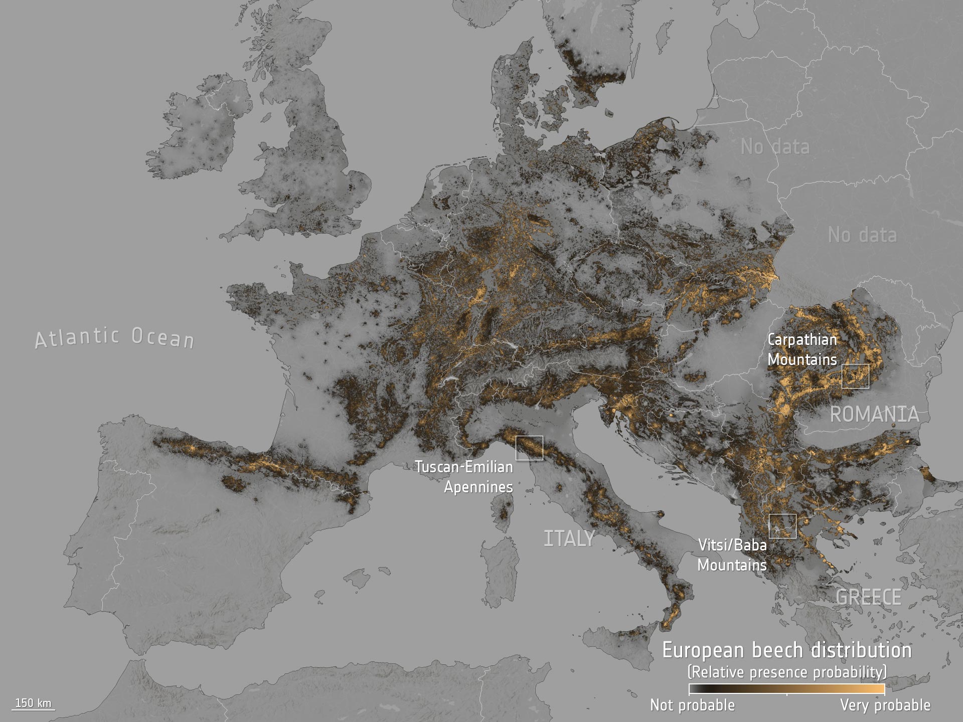 European-Beech-Distribution-Map.jpg