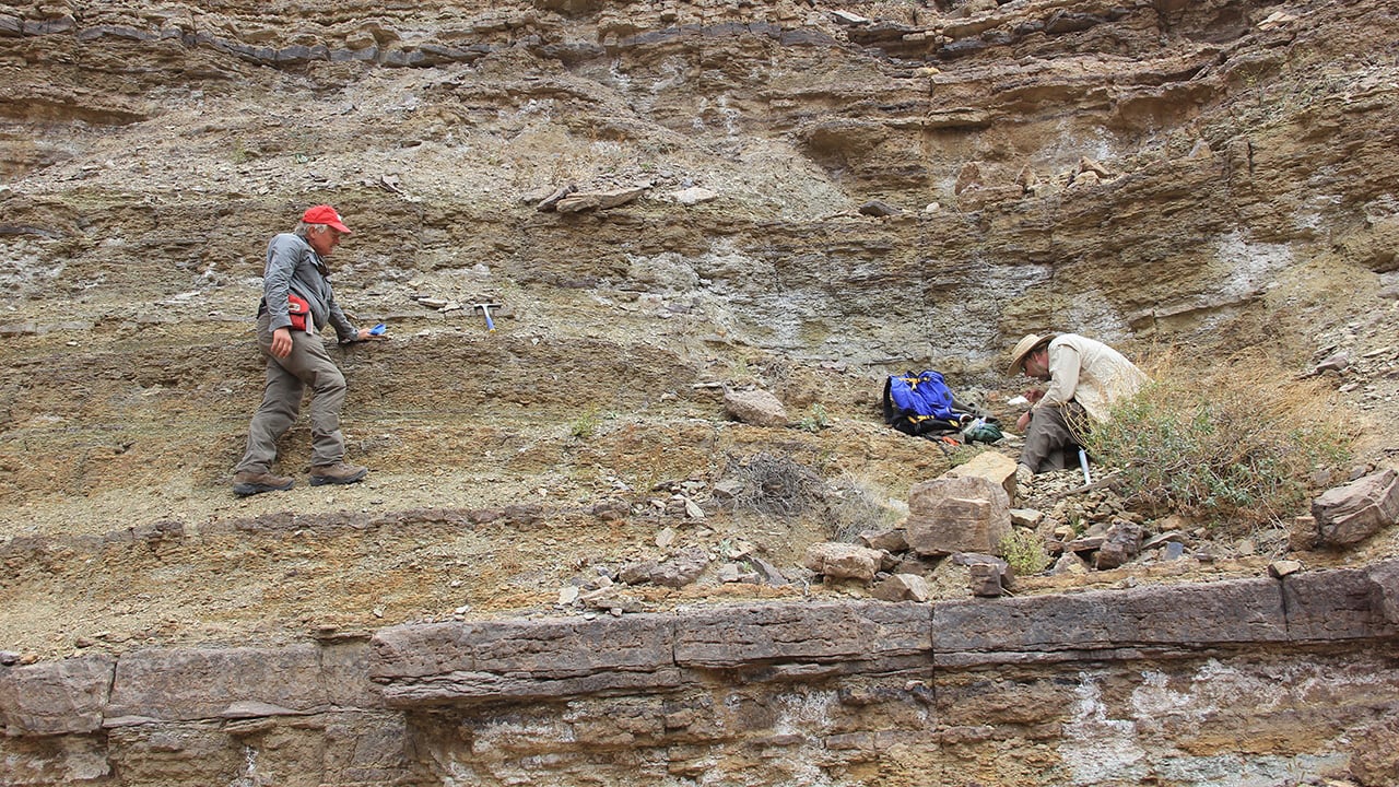 Fred-Sundberg-Looking-For-Fossils.jpg