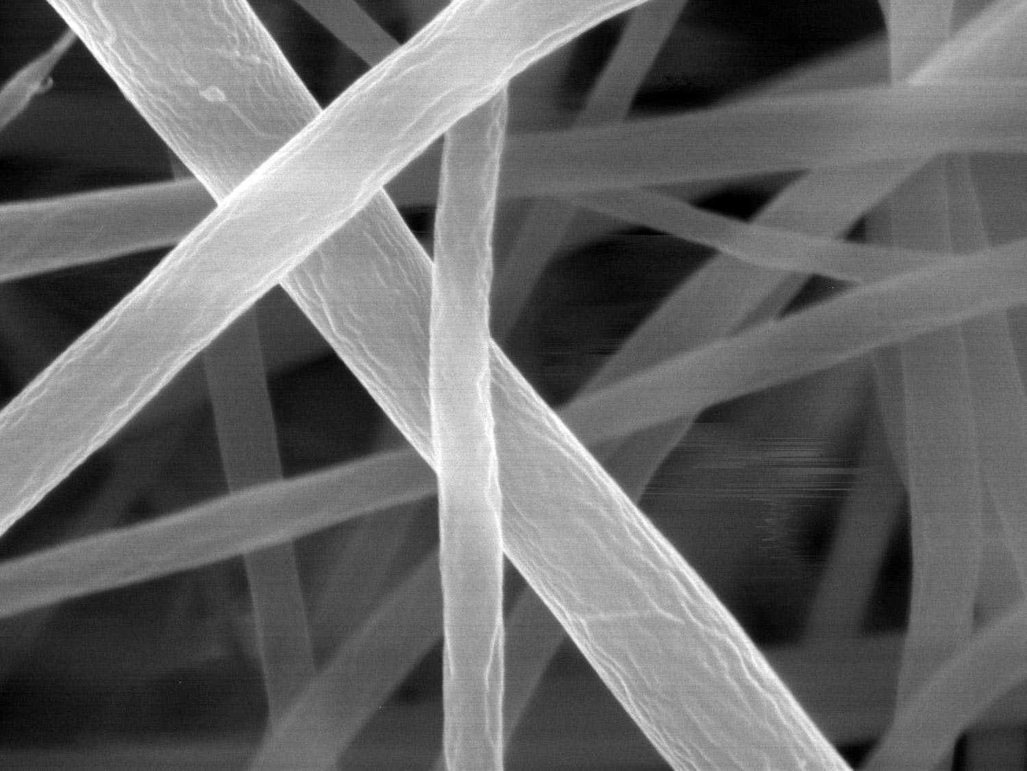 Nanopasta-Close-Up.jpg