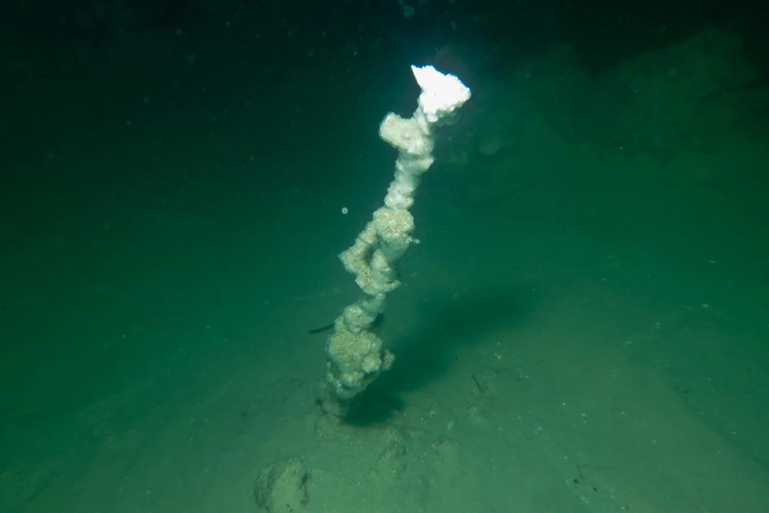 Halite-Chimney-in-the-Dead-Sea.jpg
