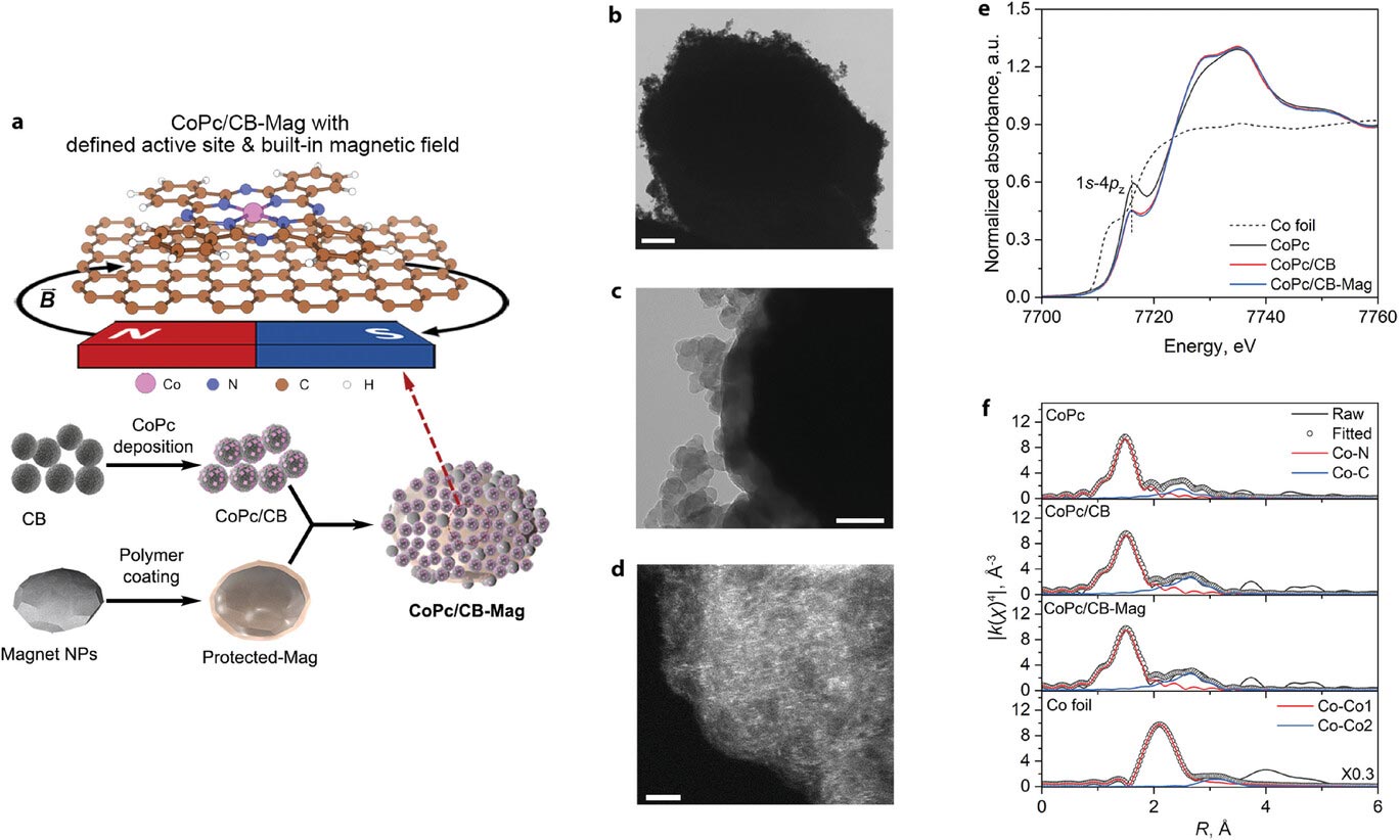 Schematic-of-the-Integration-of-Magnetic-Nanoparticles-With-Molecular-Catalysts.jpg