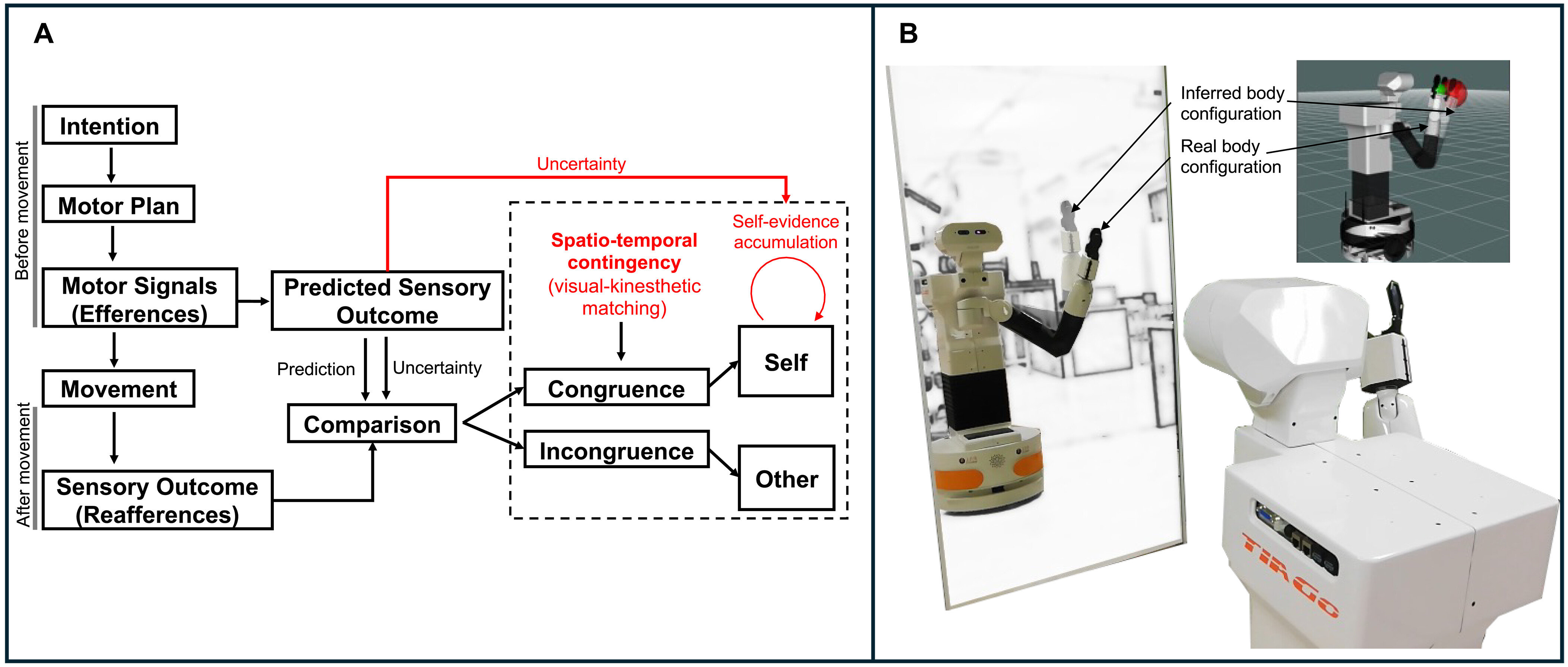 scirobotics.adn2733-f3.jpg