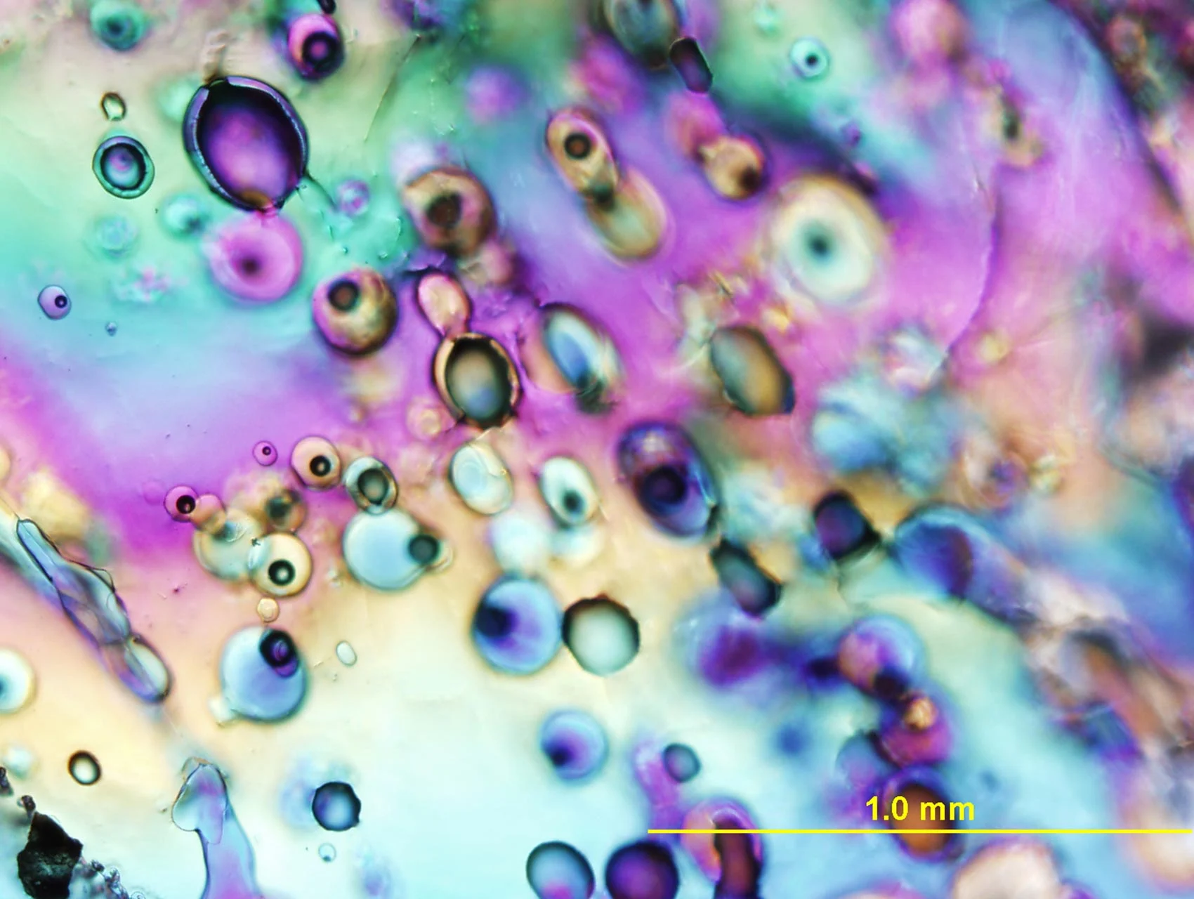 Pores-Could-Form-Habitable-Niches-for-Microbial-Life.jpg