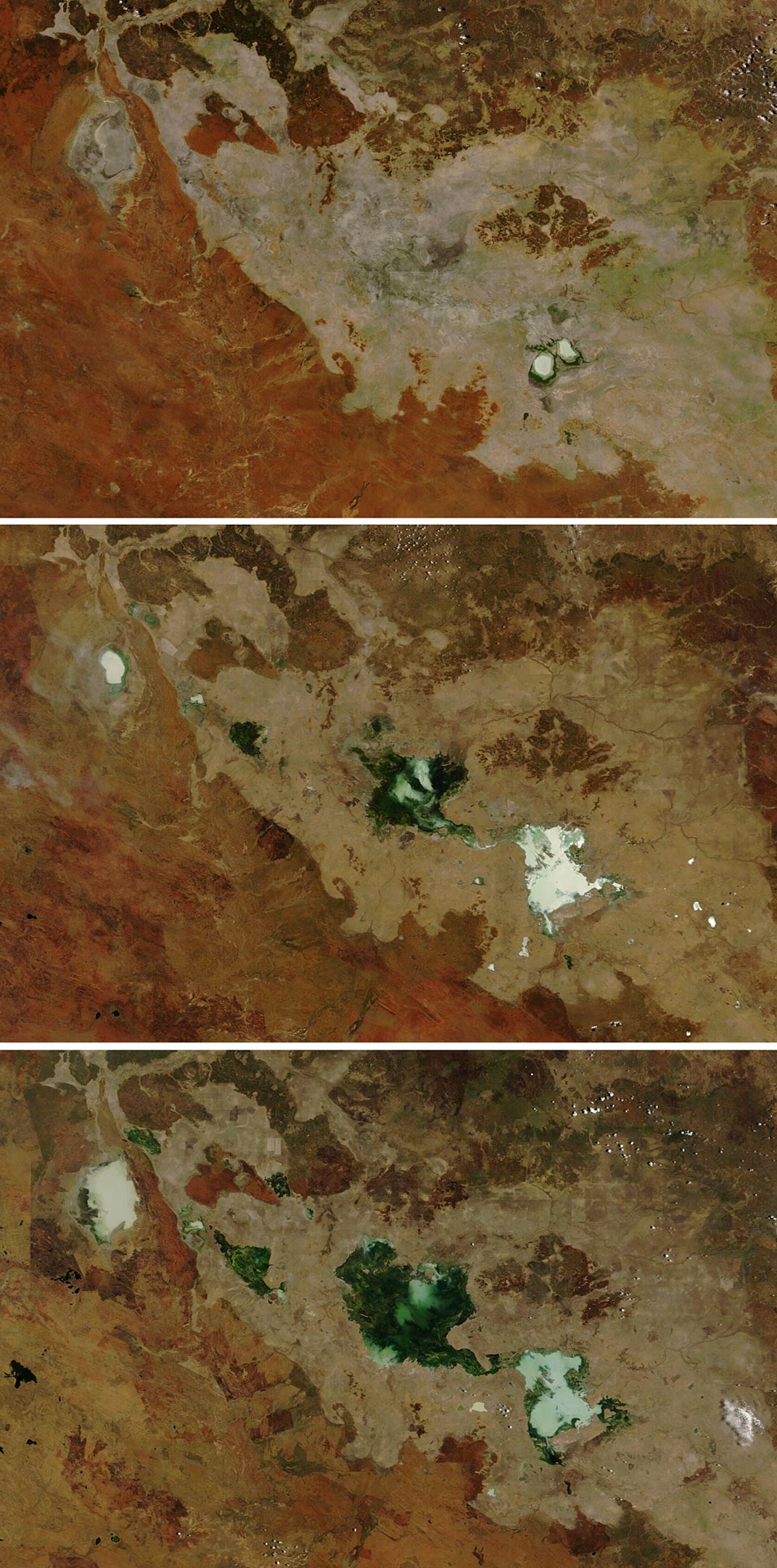 Saturated-Northern-Australia-2024.jpg
