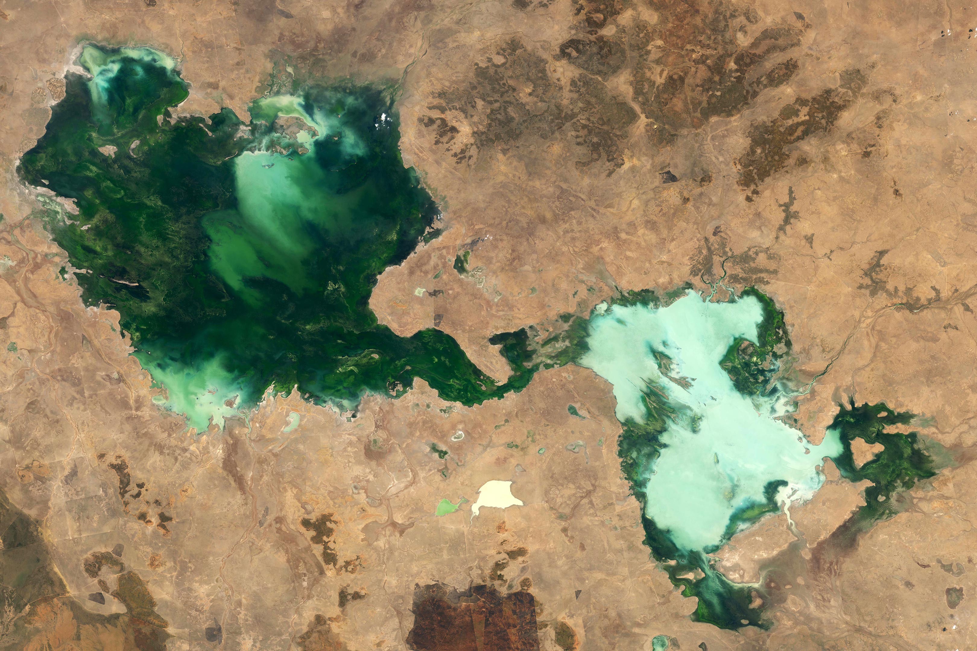 Tarrabool-Lake-Australia-2024.jpg