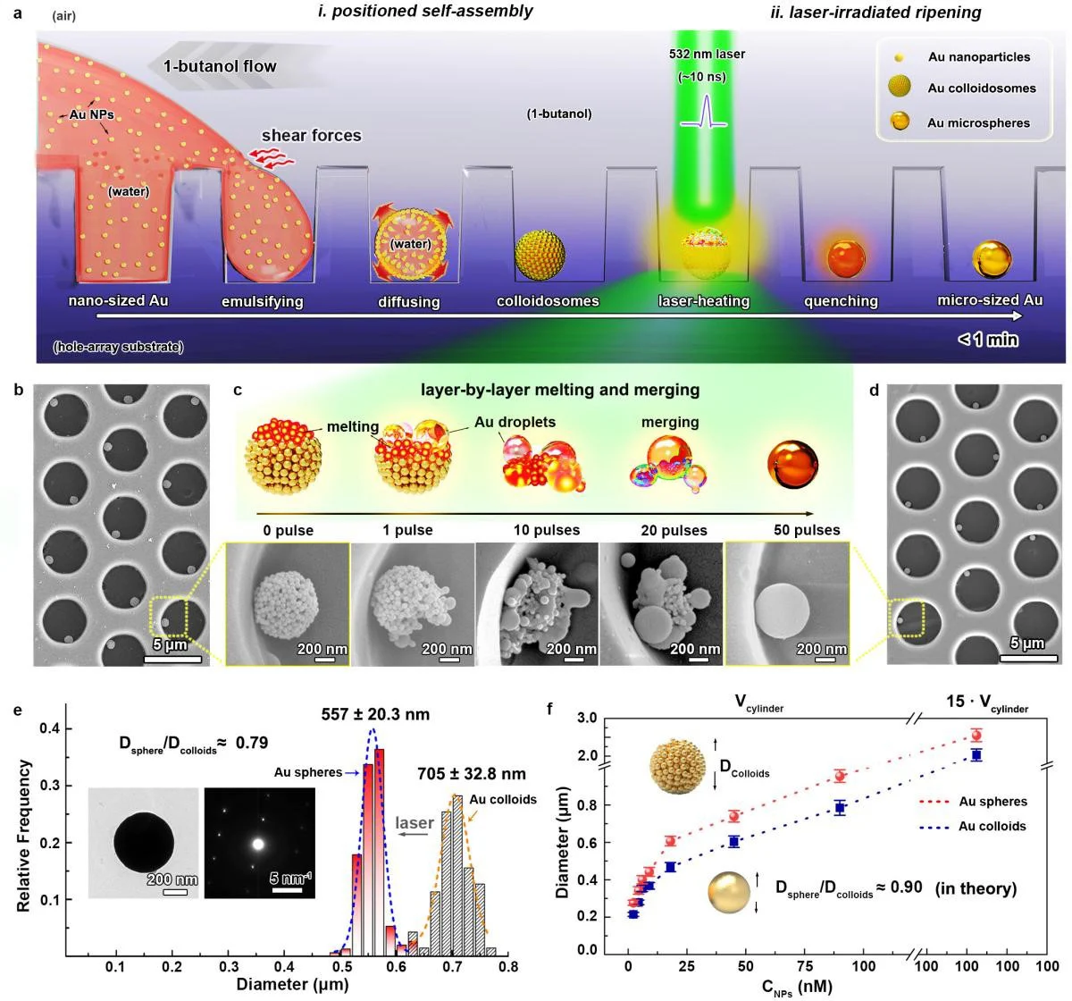 Rapid-Approach-to-Pure-Gold-Microsphere-Array-Fabrication.webp