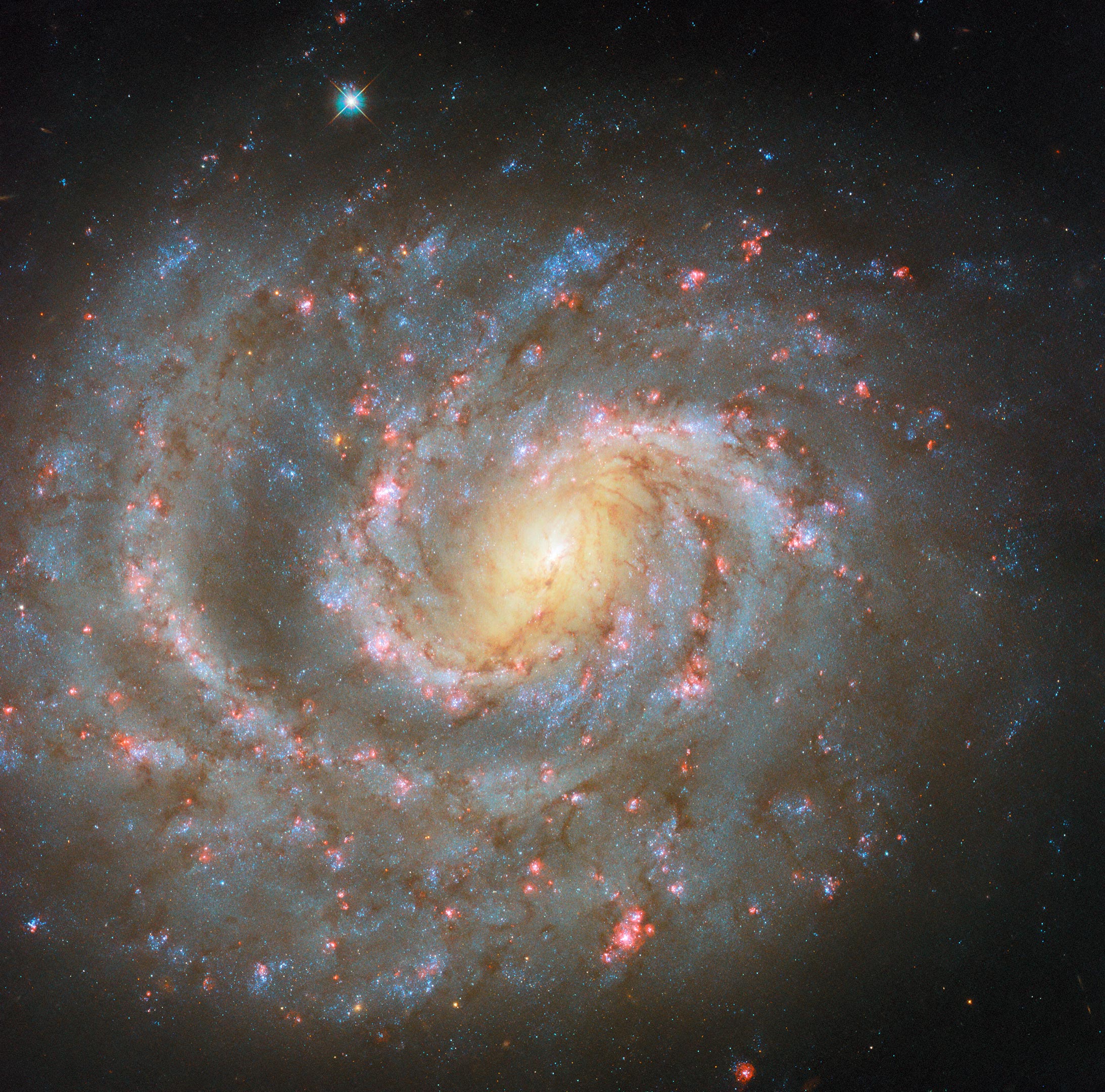 Spiral-Galaxy-NGC-1637.jpg