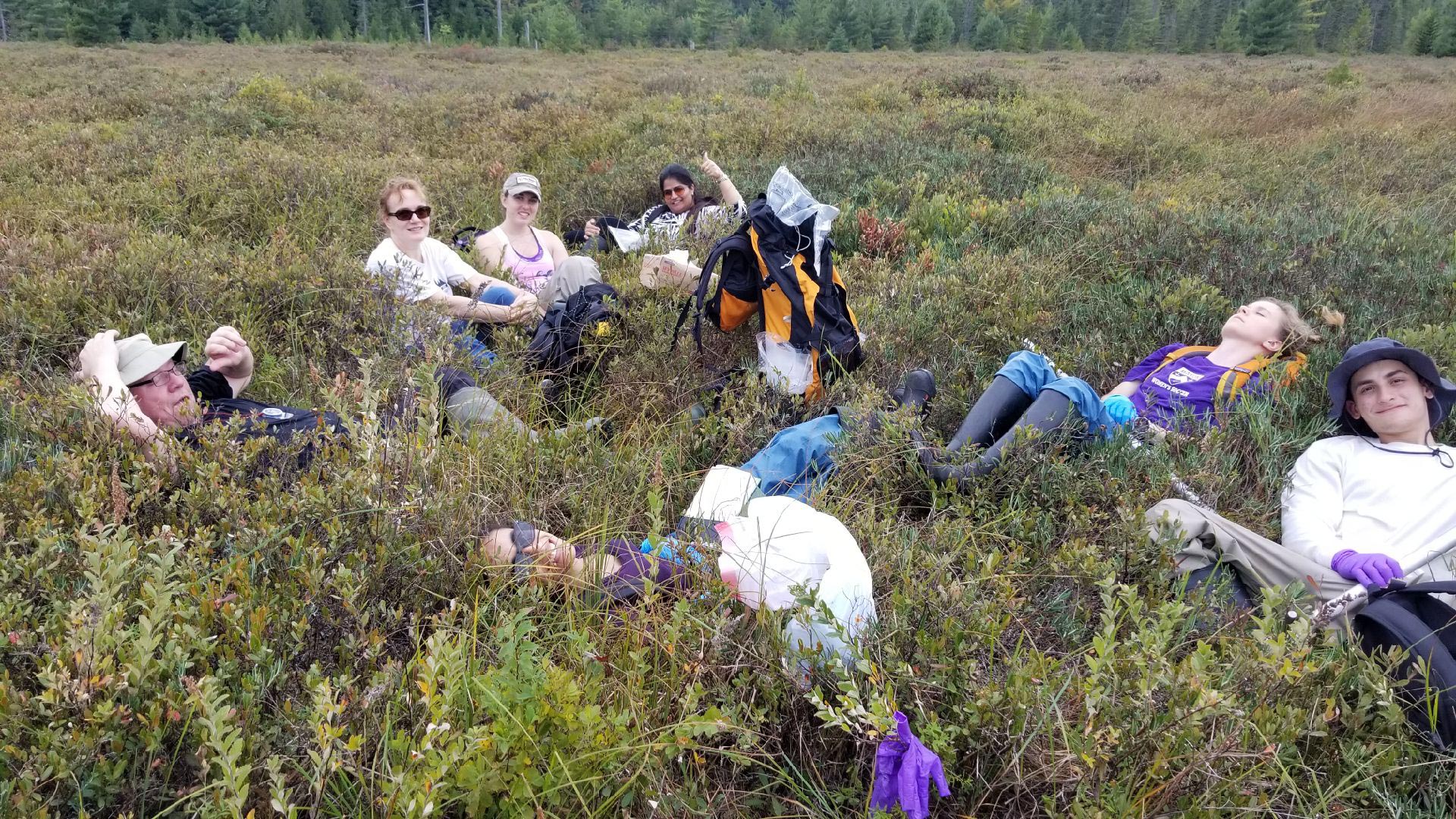 Tuberculosis-Research-Section-Scientists-Collapse-in-Bog.jpg