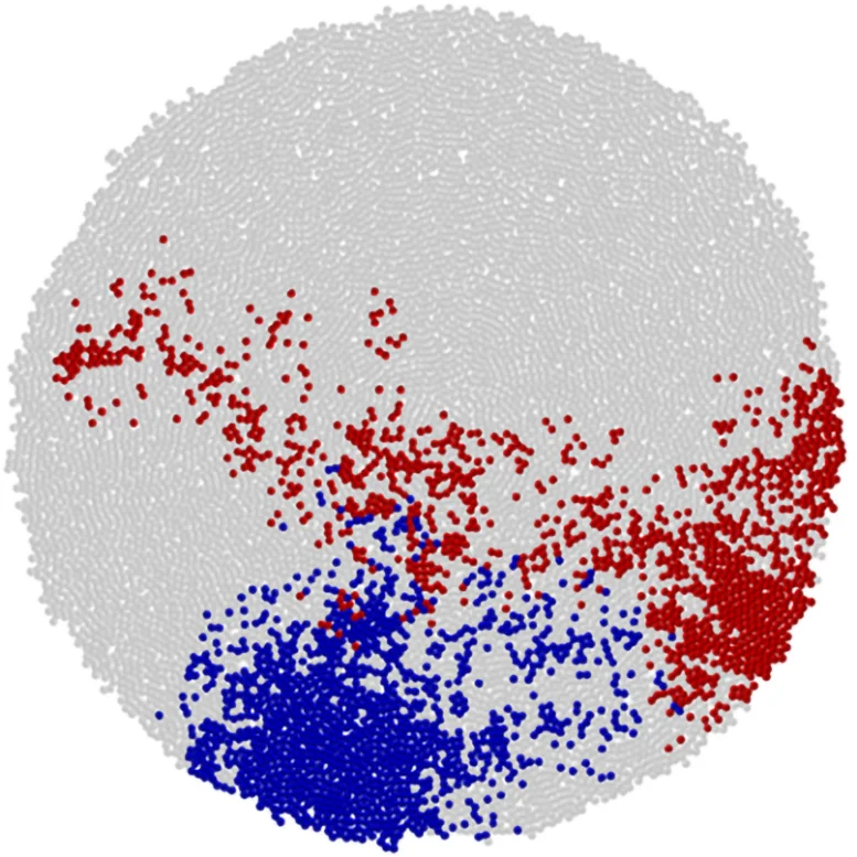 Computer-Simulation-of-Cancer-Growth.jpg