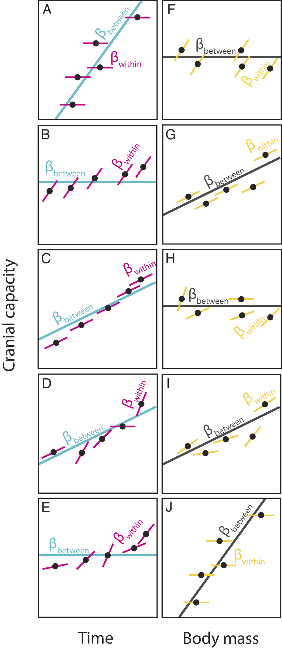 pnas.2409542121fig01.jpg