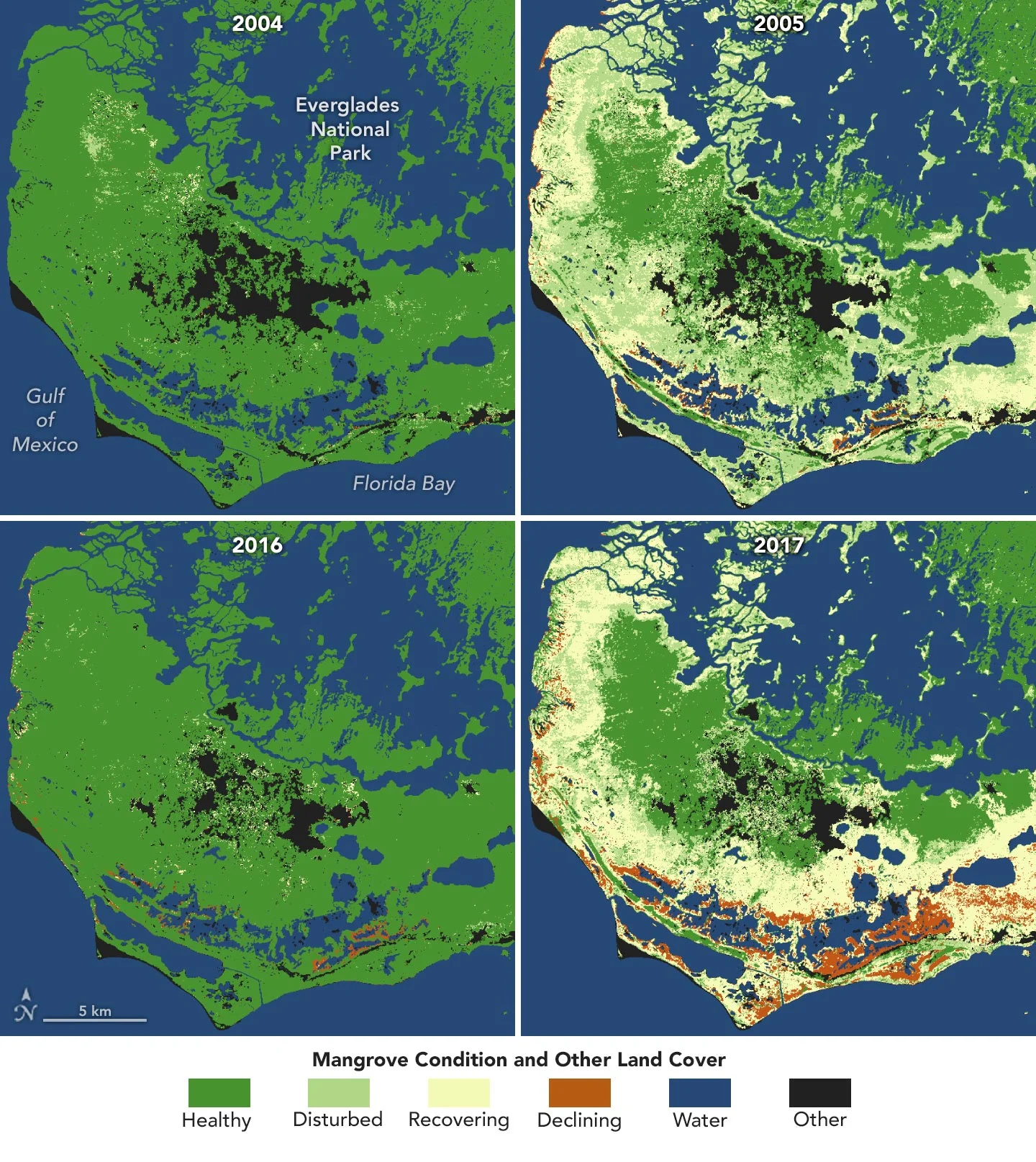 Mangroves-in-Southern-Everglades-National-Park-Maps.jpg