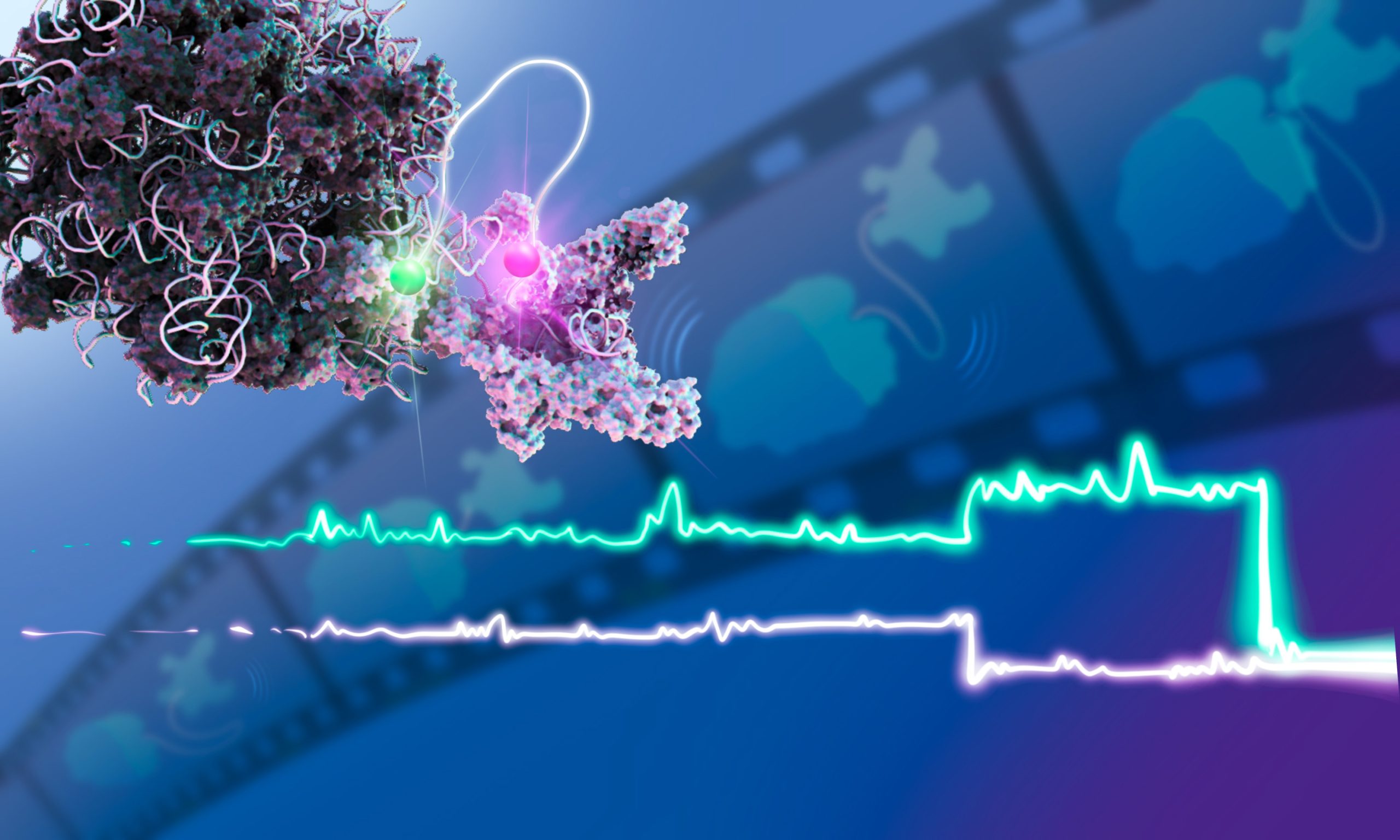 Single-Molecule-Multi-Colour-Fluorescence-Microscopy-Molecular-Movie-scaled.jpg