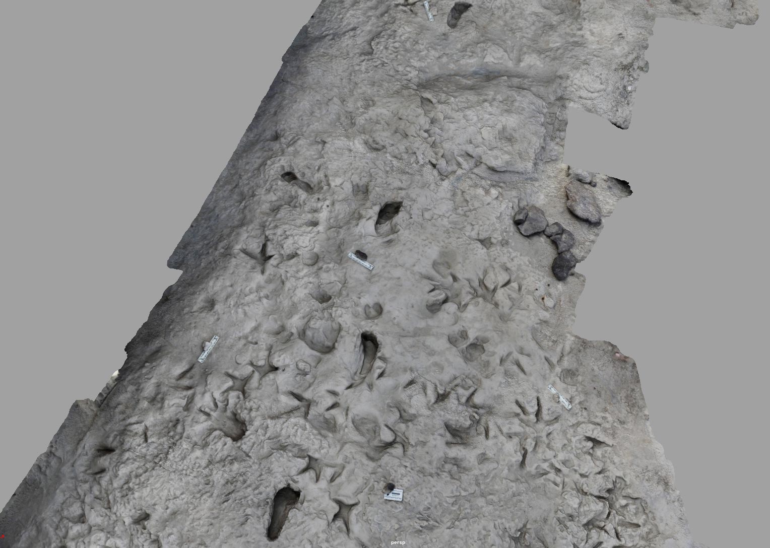 3D-Model-of-Surface-Area-With-Paranthropus-boisei-and-Homo-erectus-Footprints.jpg