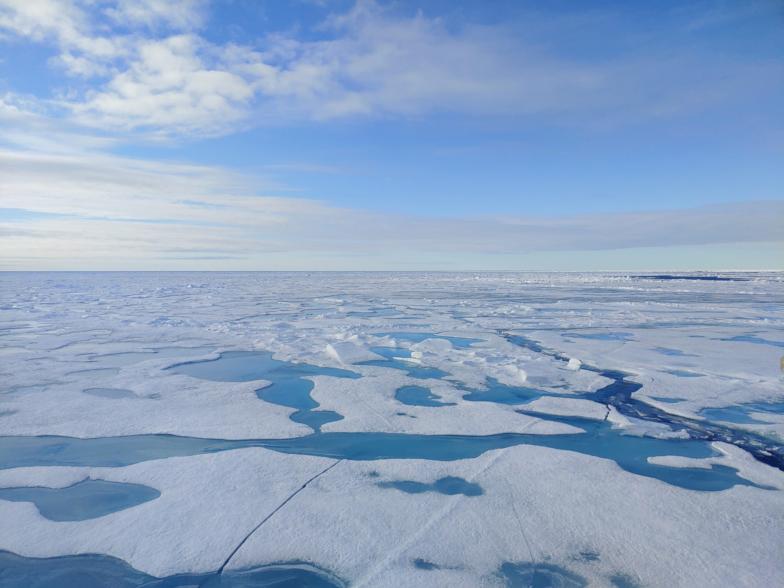Arctic-Sea-Ice-scaled.jpg