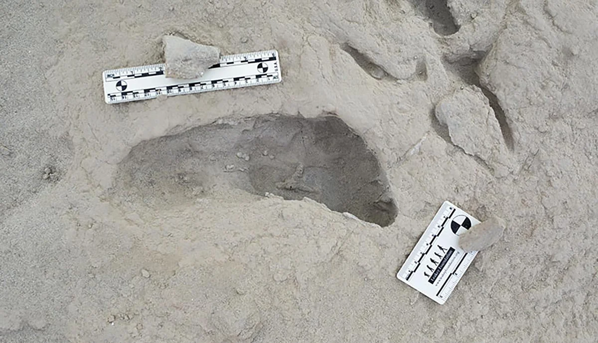 Paranthropus-boisei-Footprint.jpg