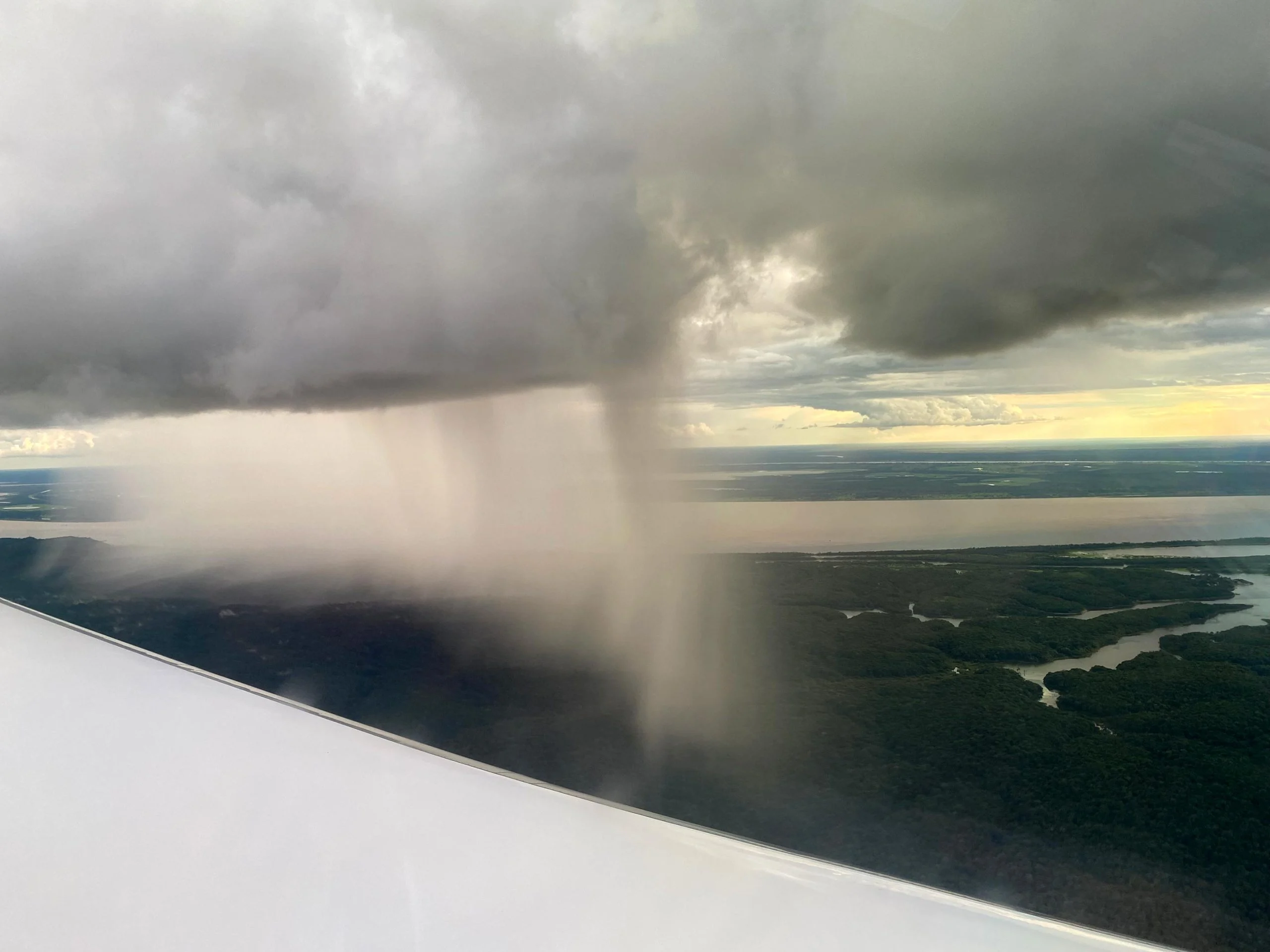 Heavy-Showers-Over-Rainforest-scaled.jpg