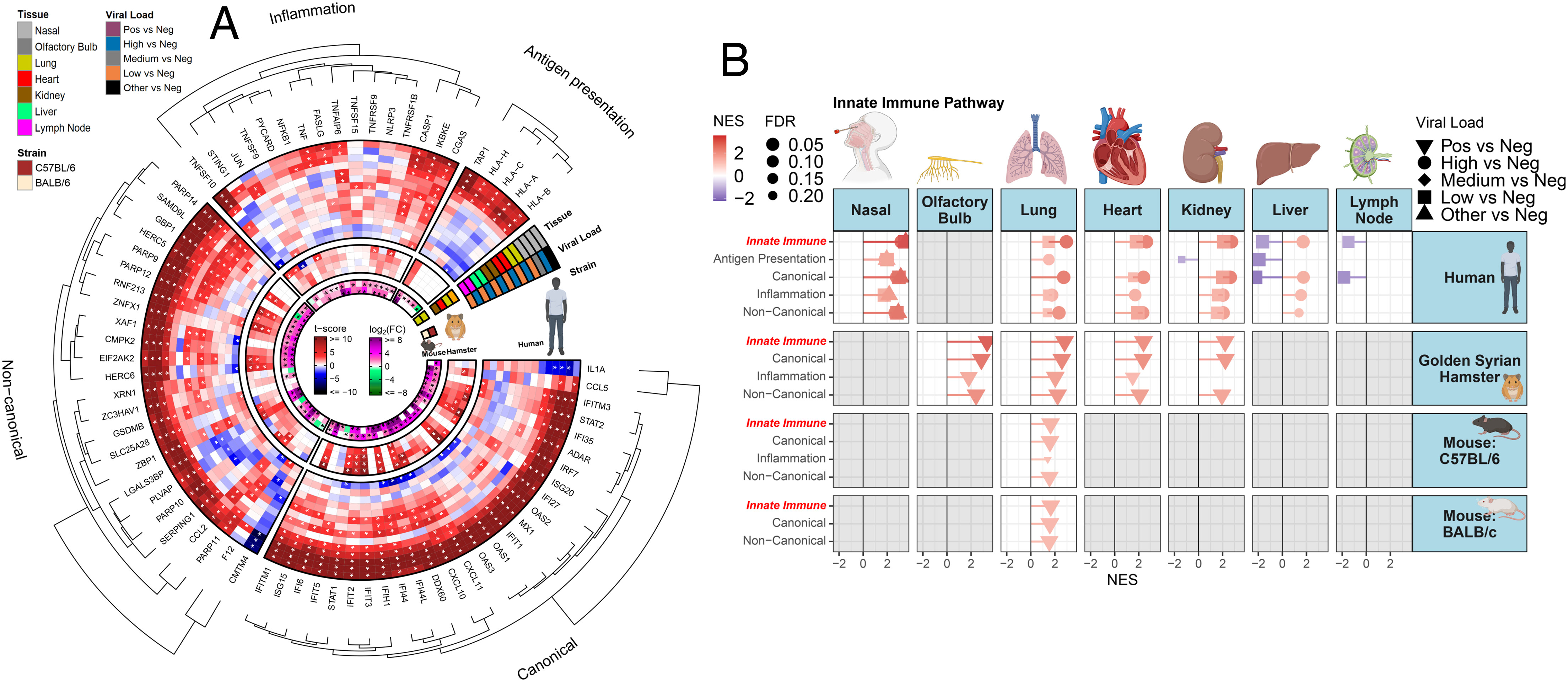 pnas.2401968121fig02.jpg